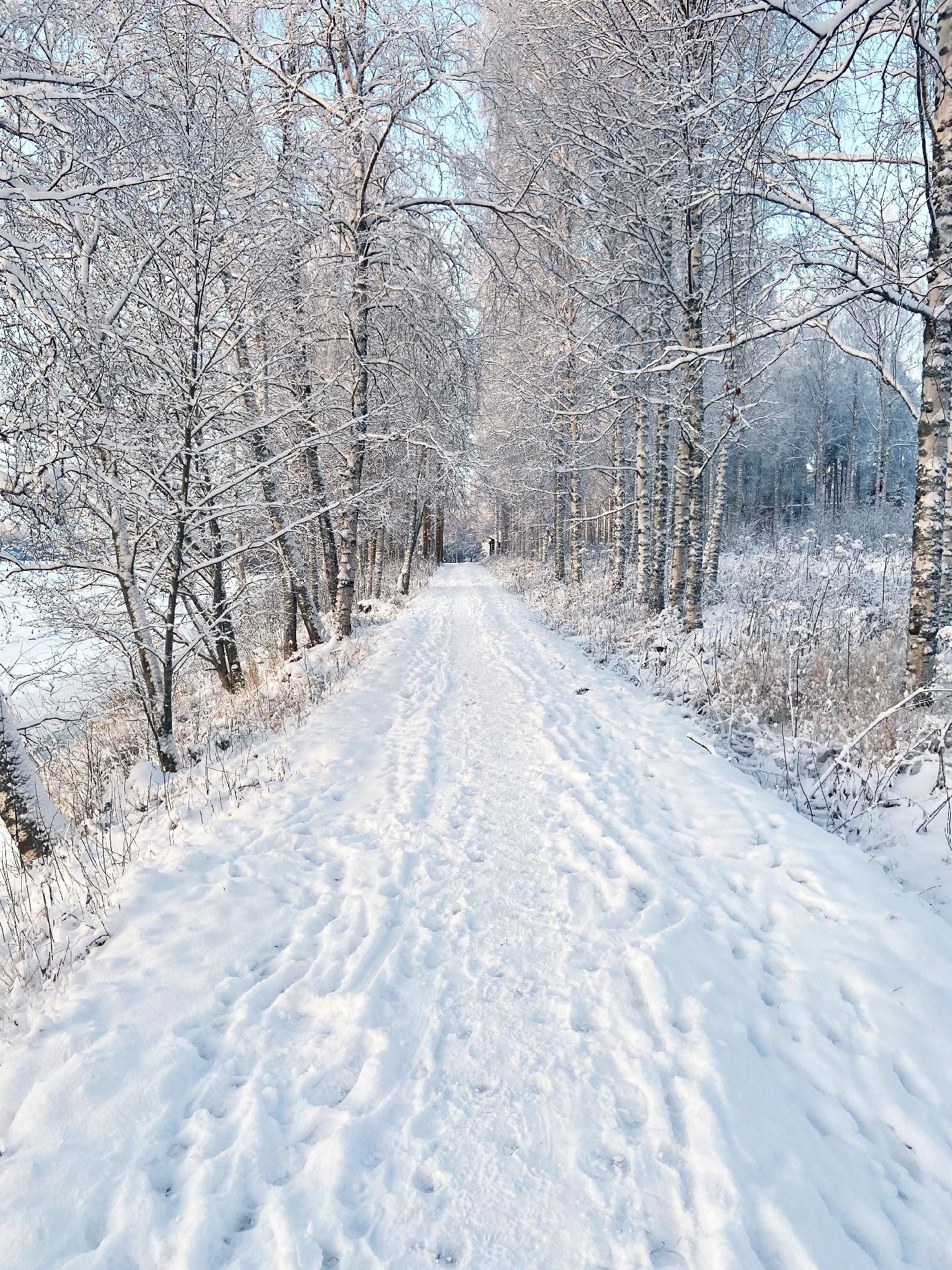 Asiakkaan ottamia kuvia rannasta