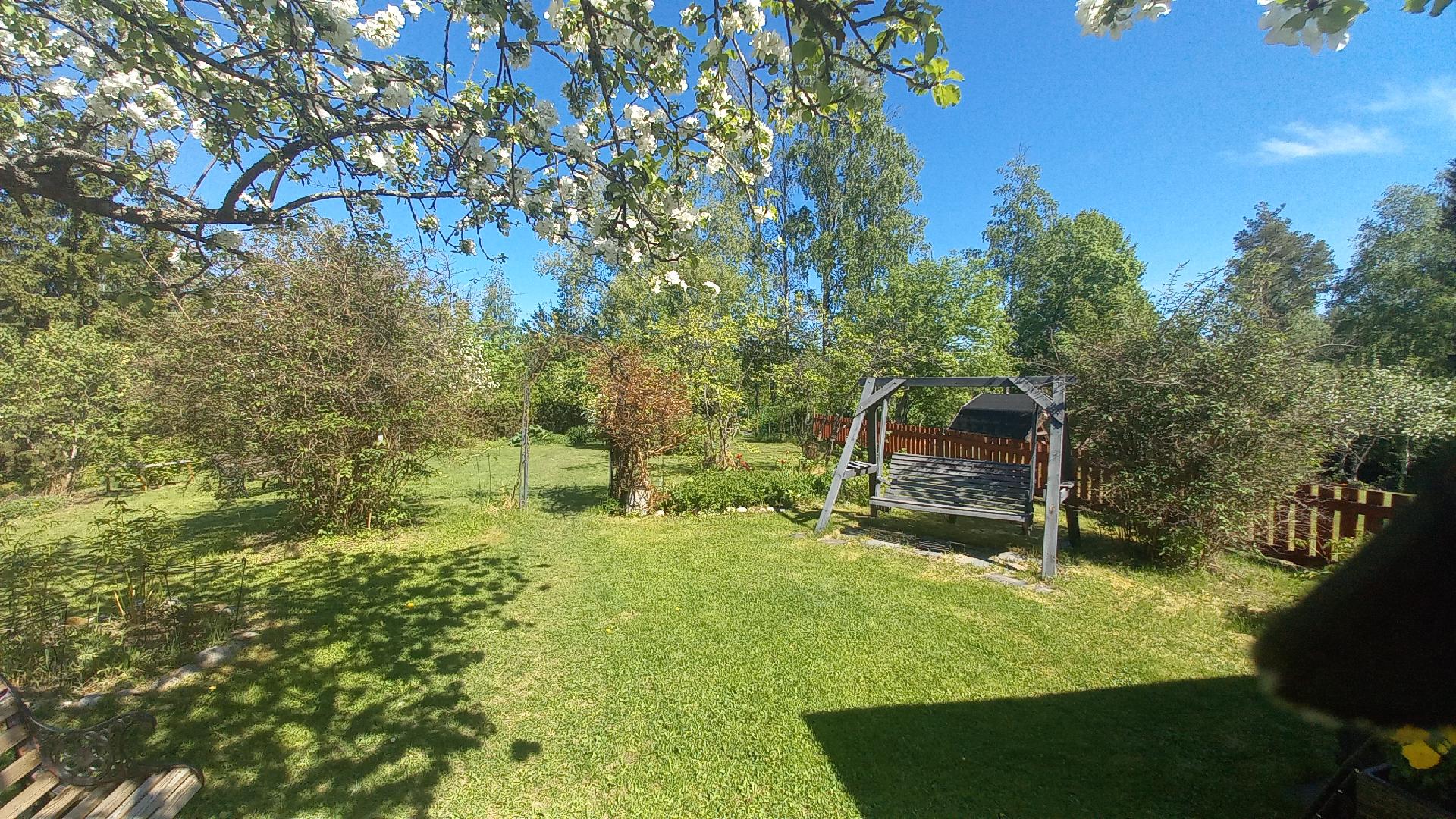 omistajan kuva takapiha tilaa misää olla ja leikkiä