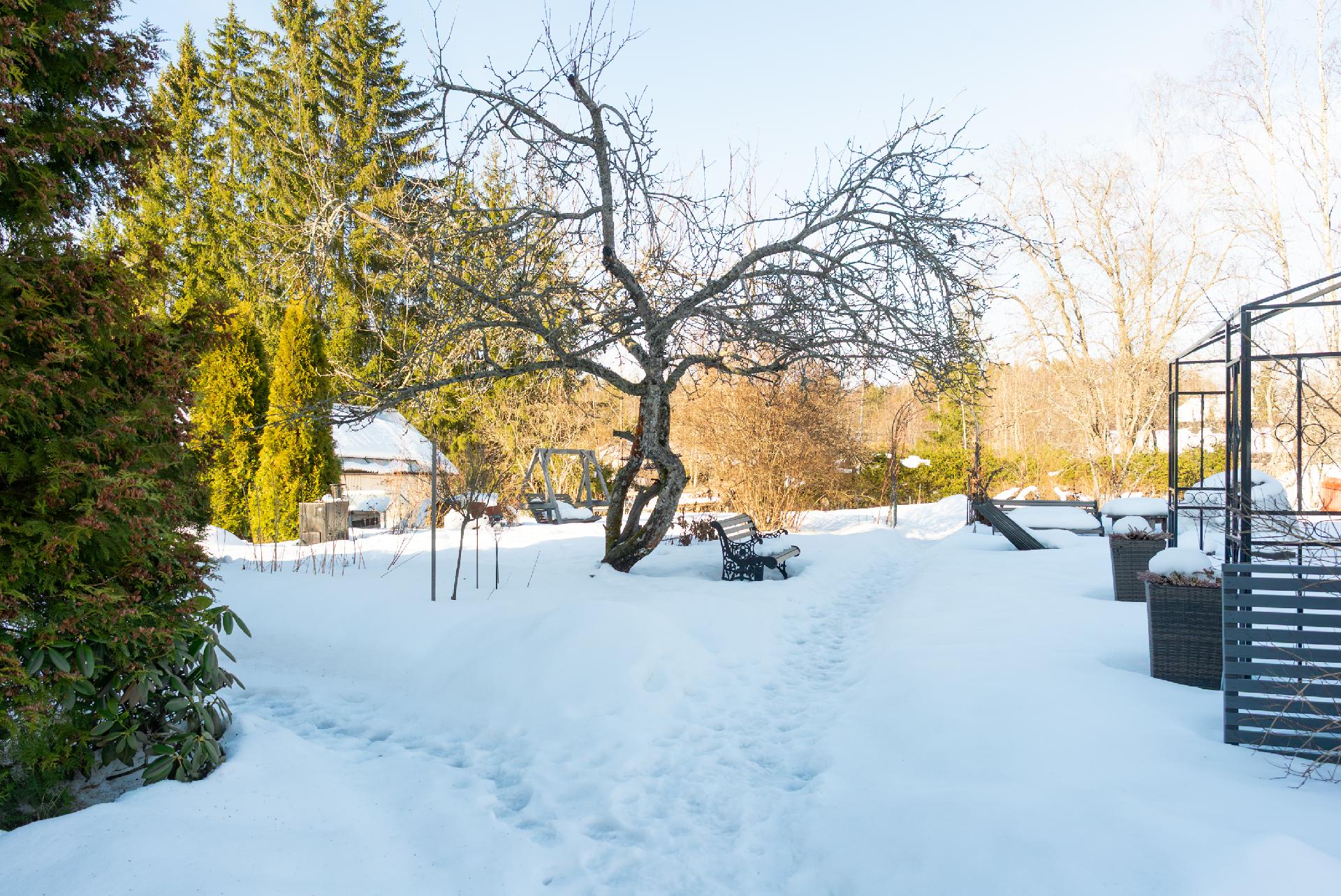 Peltokatu 19, Tarhamäki, Jyväskylä