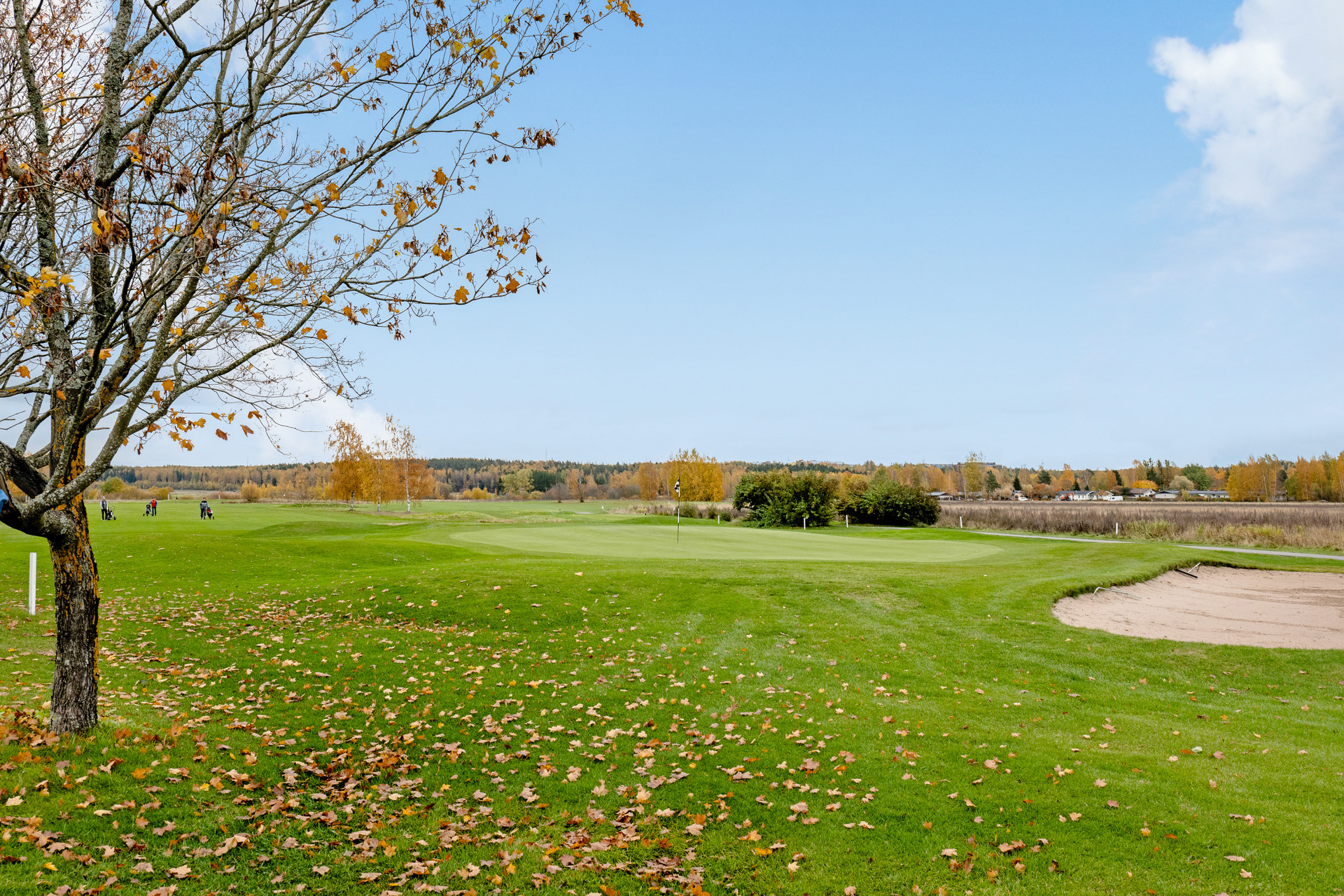 Golfkenttä