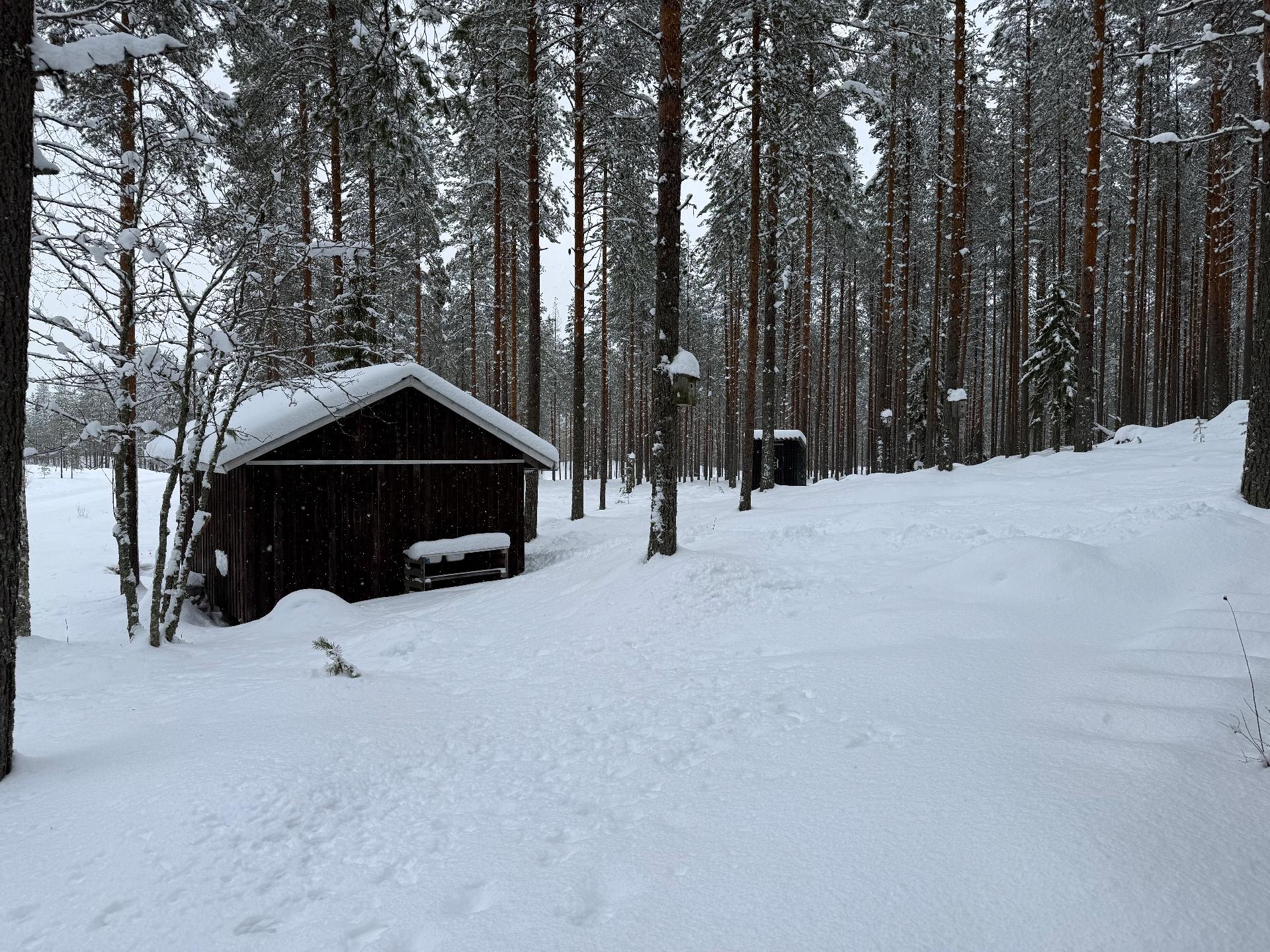 Kuhmontie 113, Ylisotkamo, Sotkamo