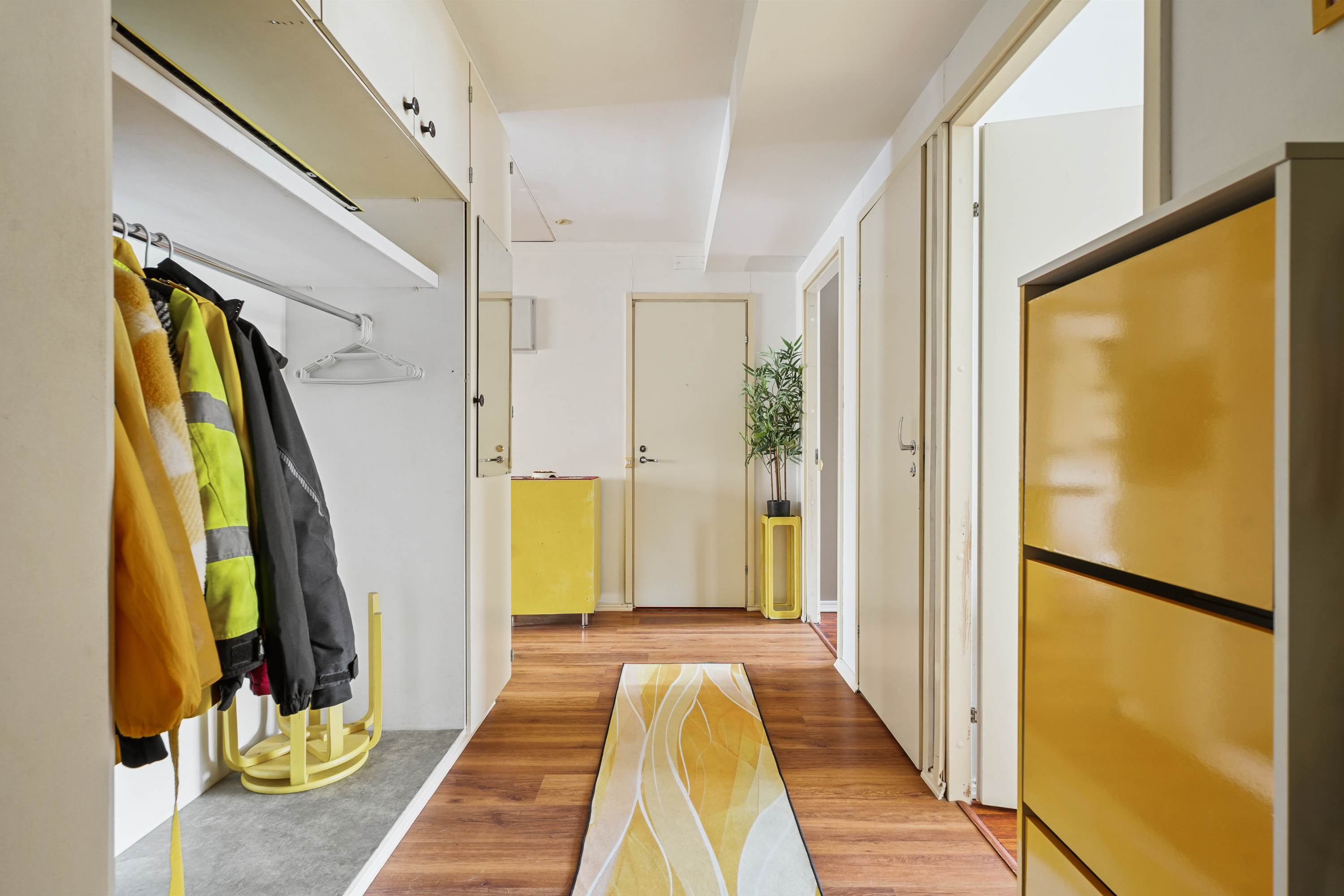 Sisääntulonälymä