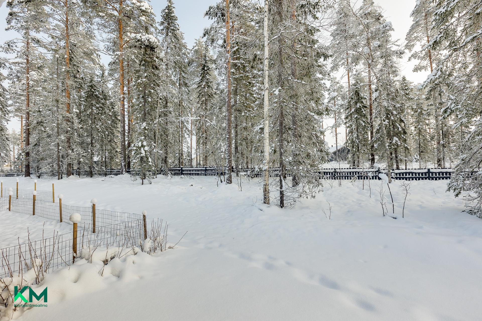 Morttelitie 4, Korvenkylä, Oulu