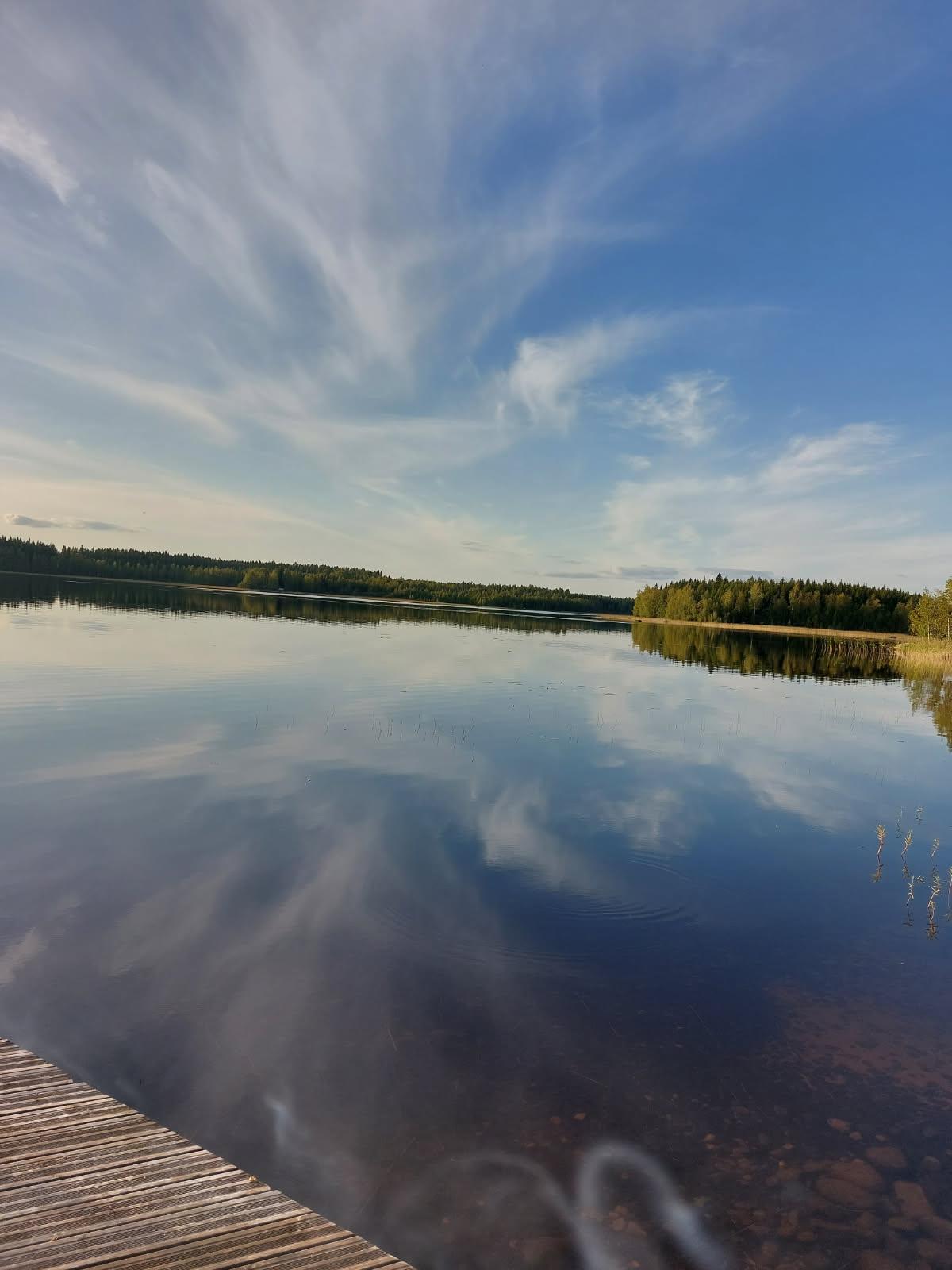 Putkisaarentie 199, Kangasniemi