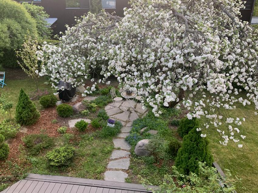 myyjän ottama kuva v. 2025