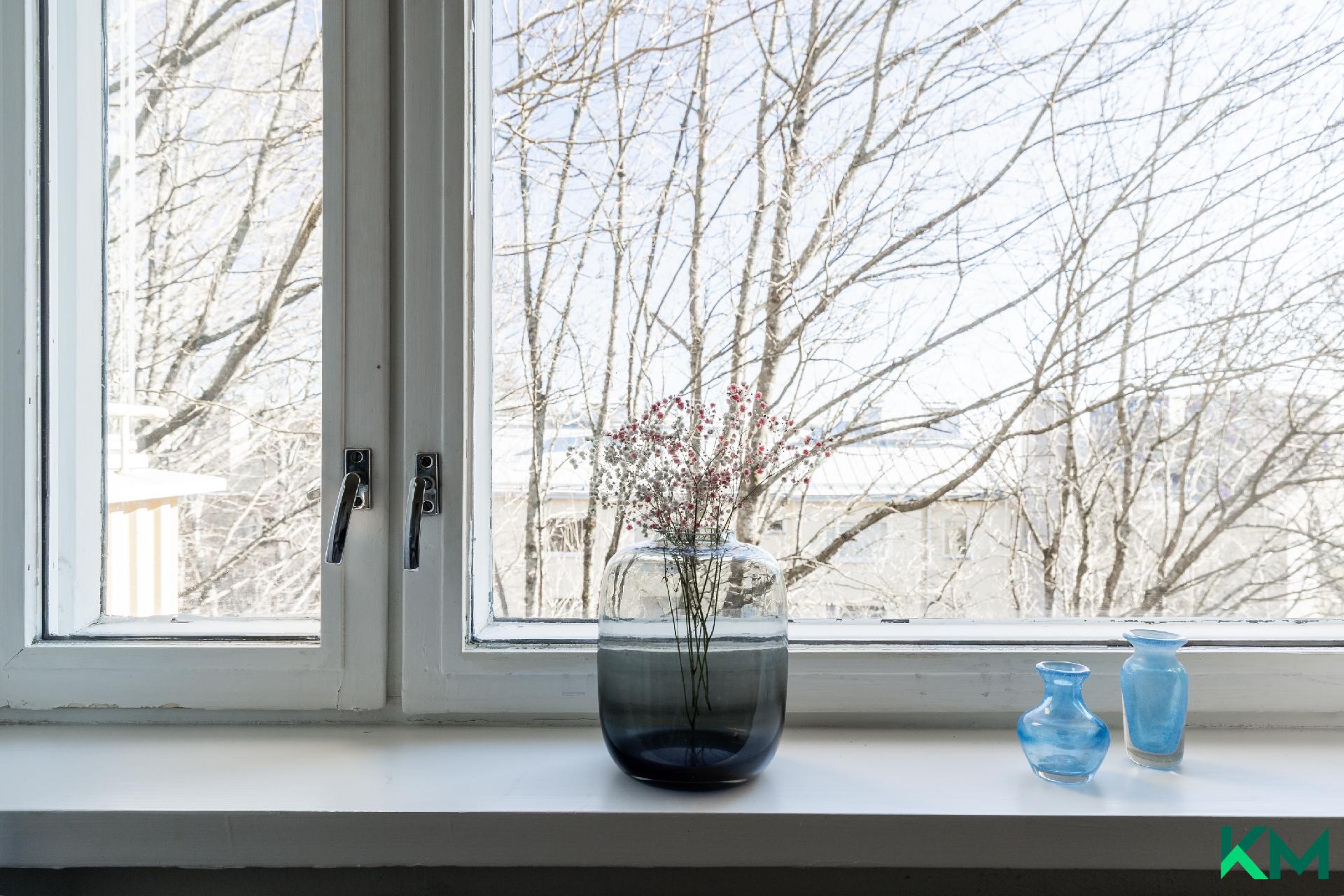 Leveät ikkunalaudat