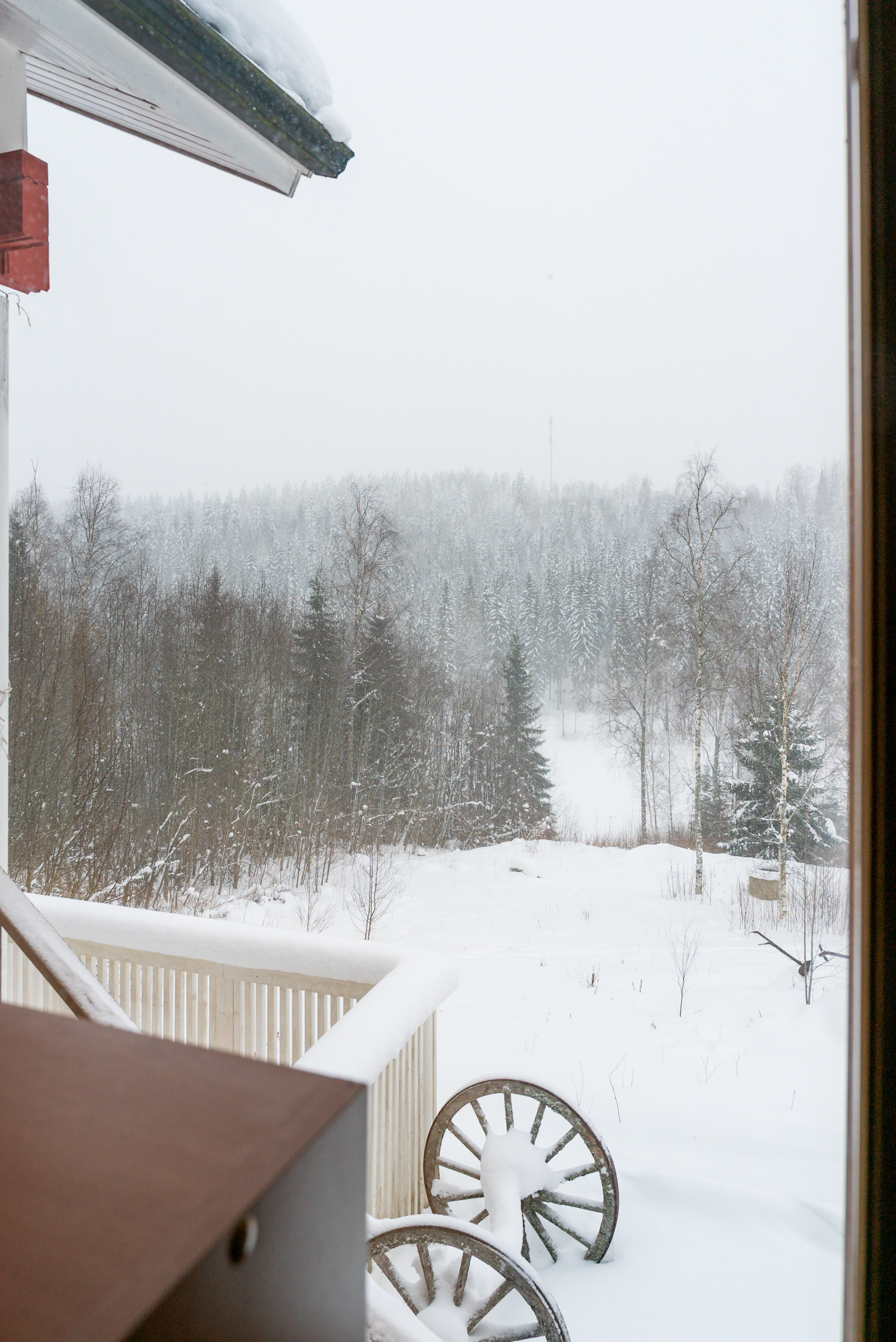 Näkymää ikkunasta