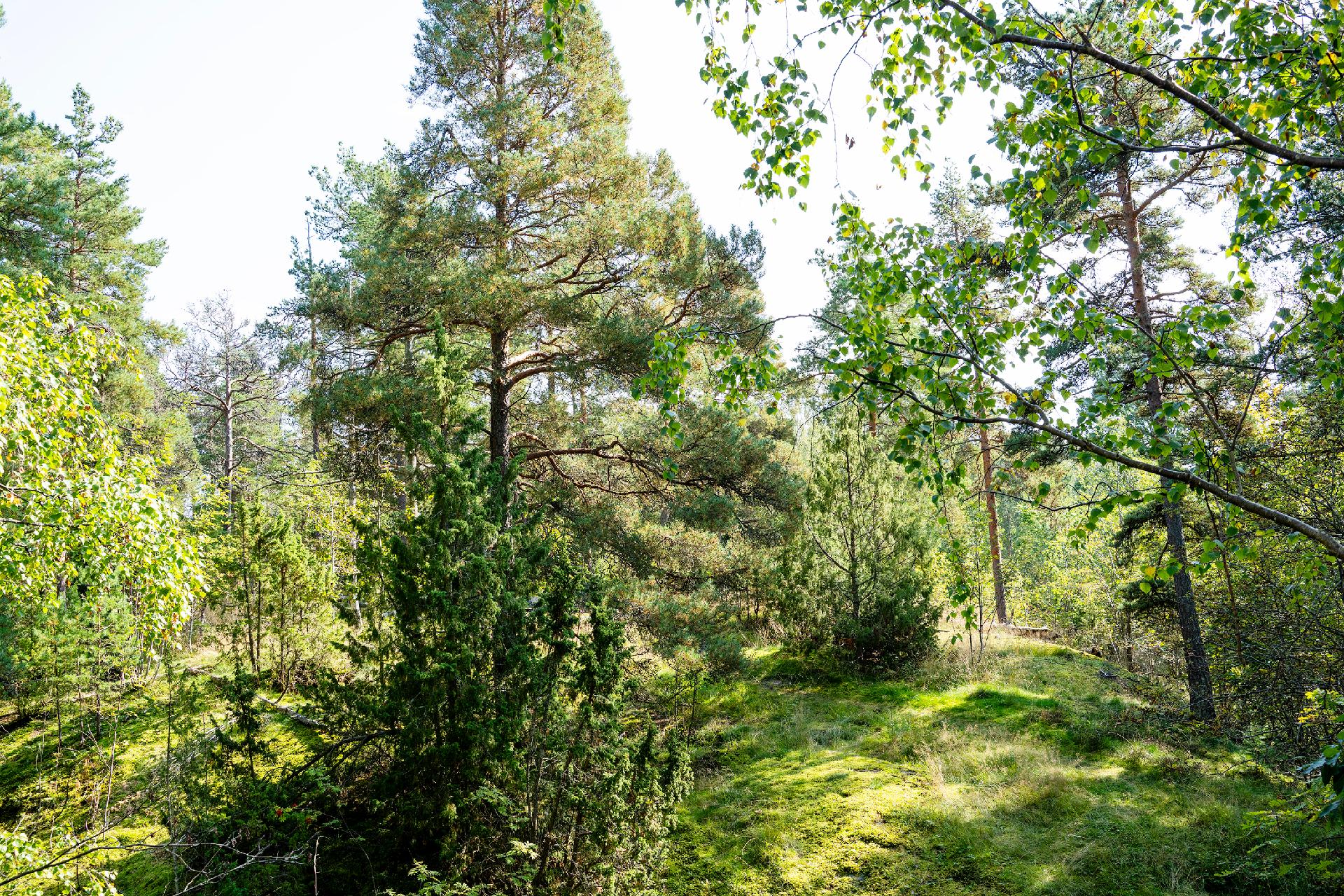 maisema parvekkeelta