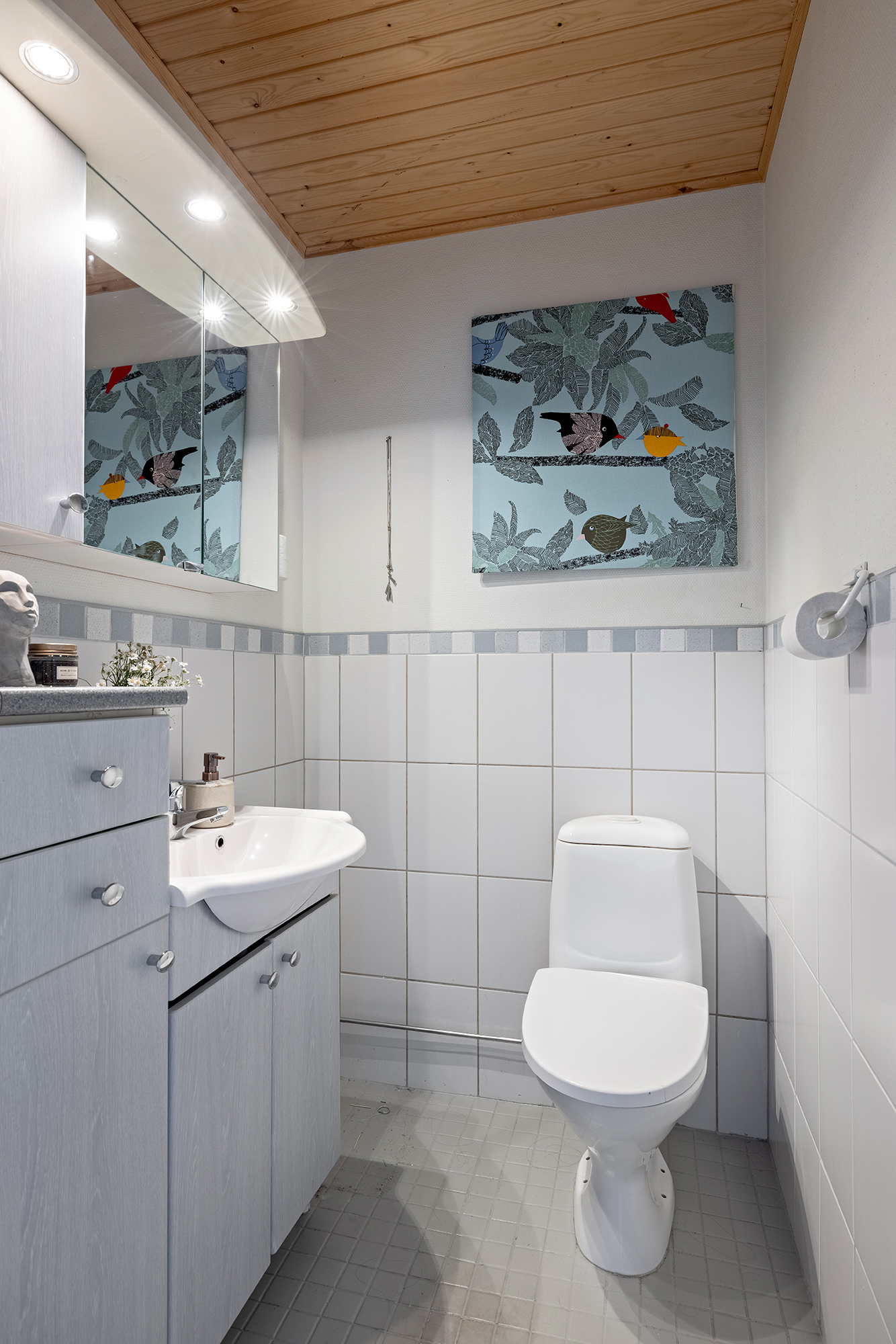Erillinen wc