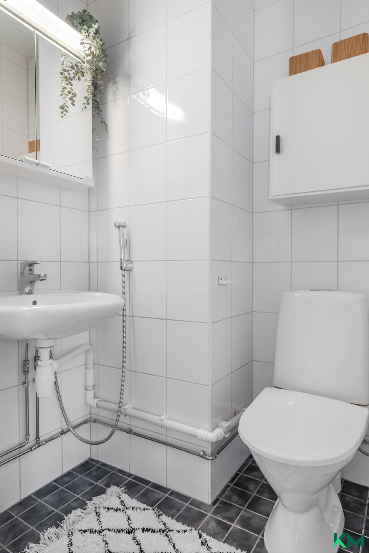 Erilliswc kylpyhuoneen vieressä