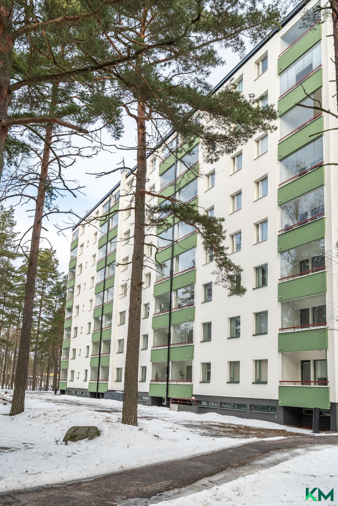 Taloyhtiön piha-alue on metsäisen puistomainen