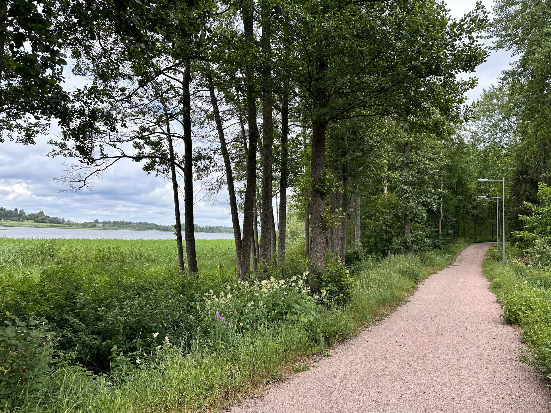 Rannalla valaistu kävelyreitti