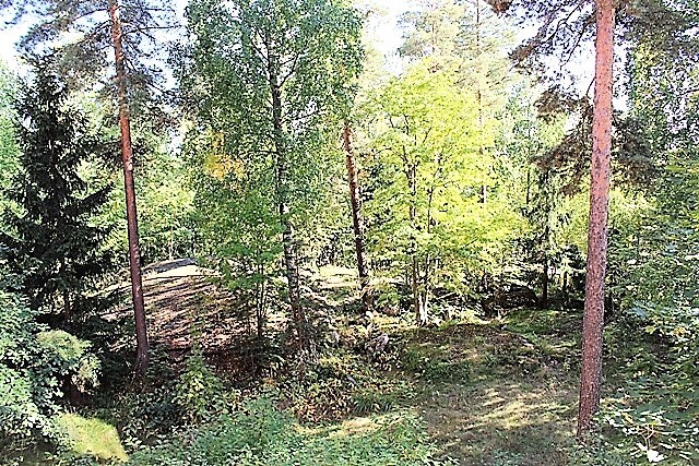 vehreät metsäiset näkymät