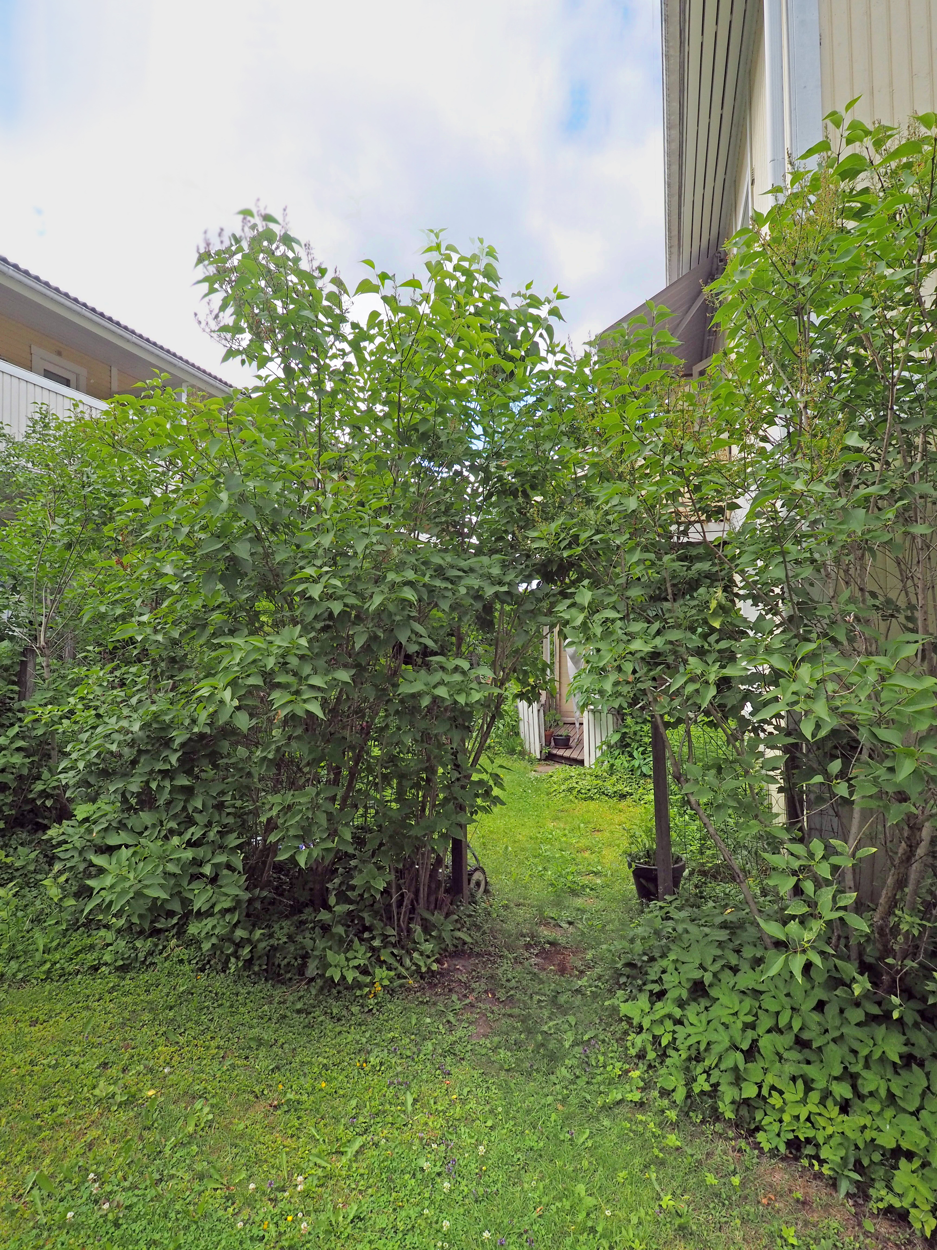 Myllymäenkatu 9, Myllymäki, Hämeenlinna
