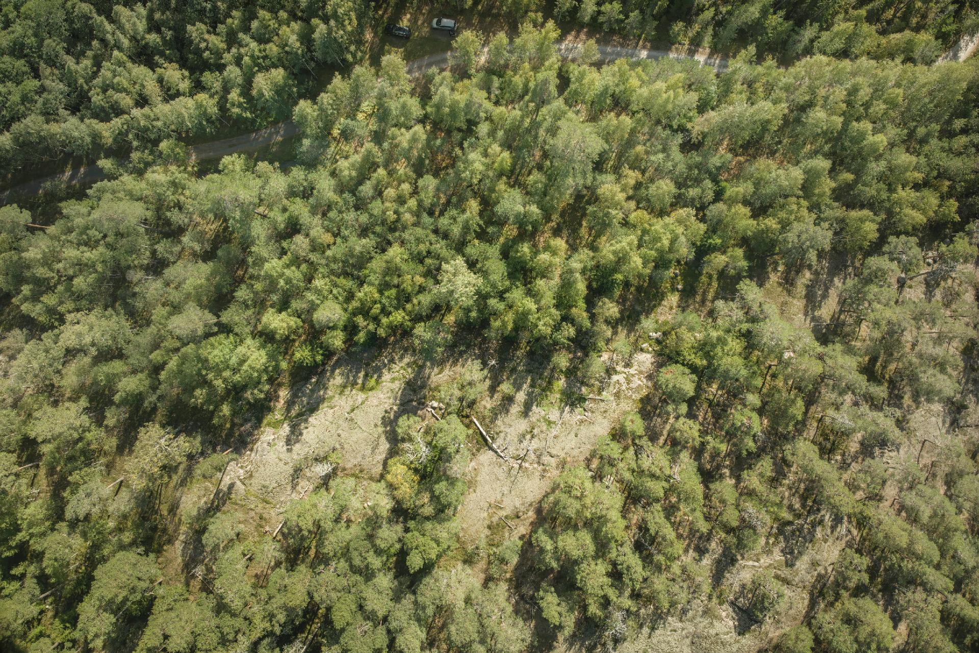 Hirsalantie 821, Långvik, Kirkkonummi