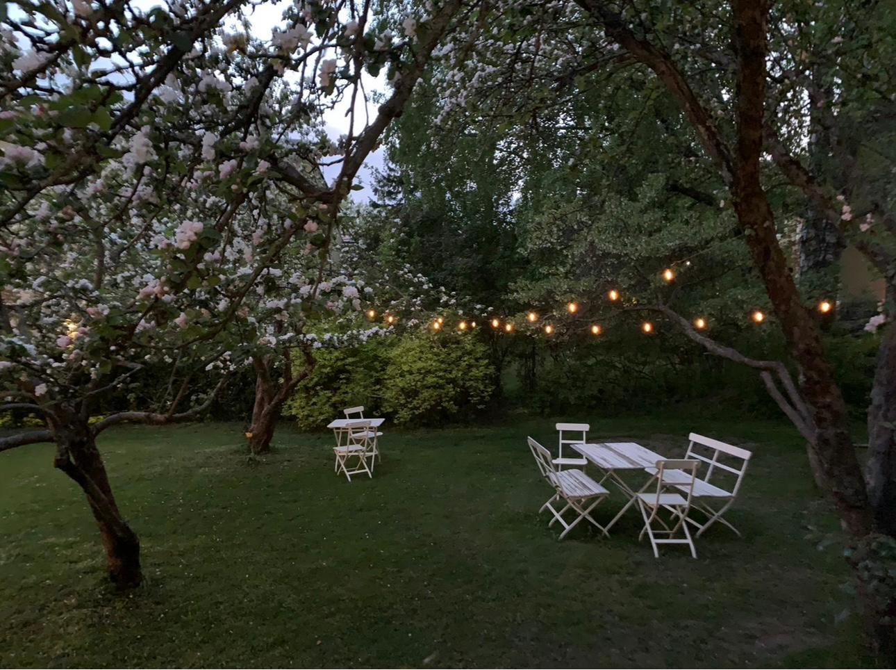 Taloyhtiön pihapiiriä kesällä