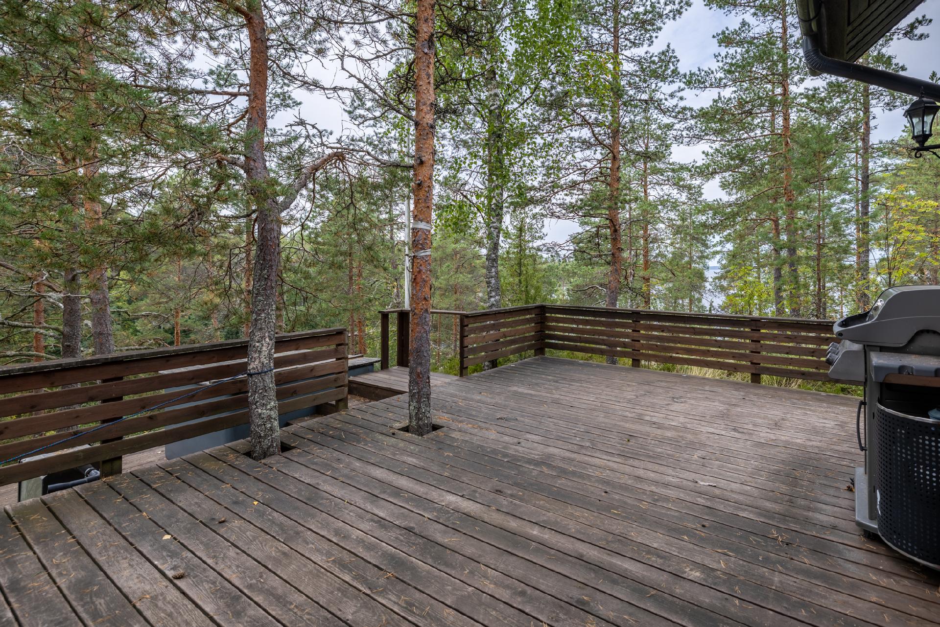 Talon takakulmalla iso terassi ja palju.