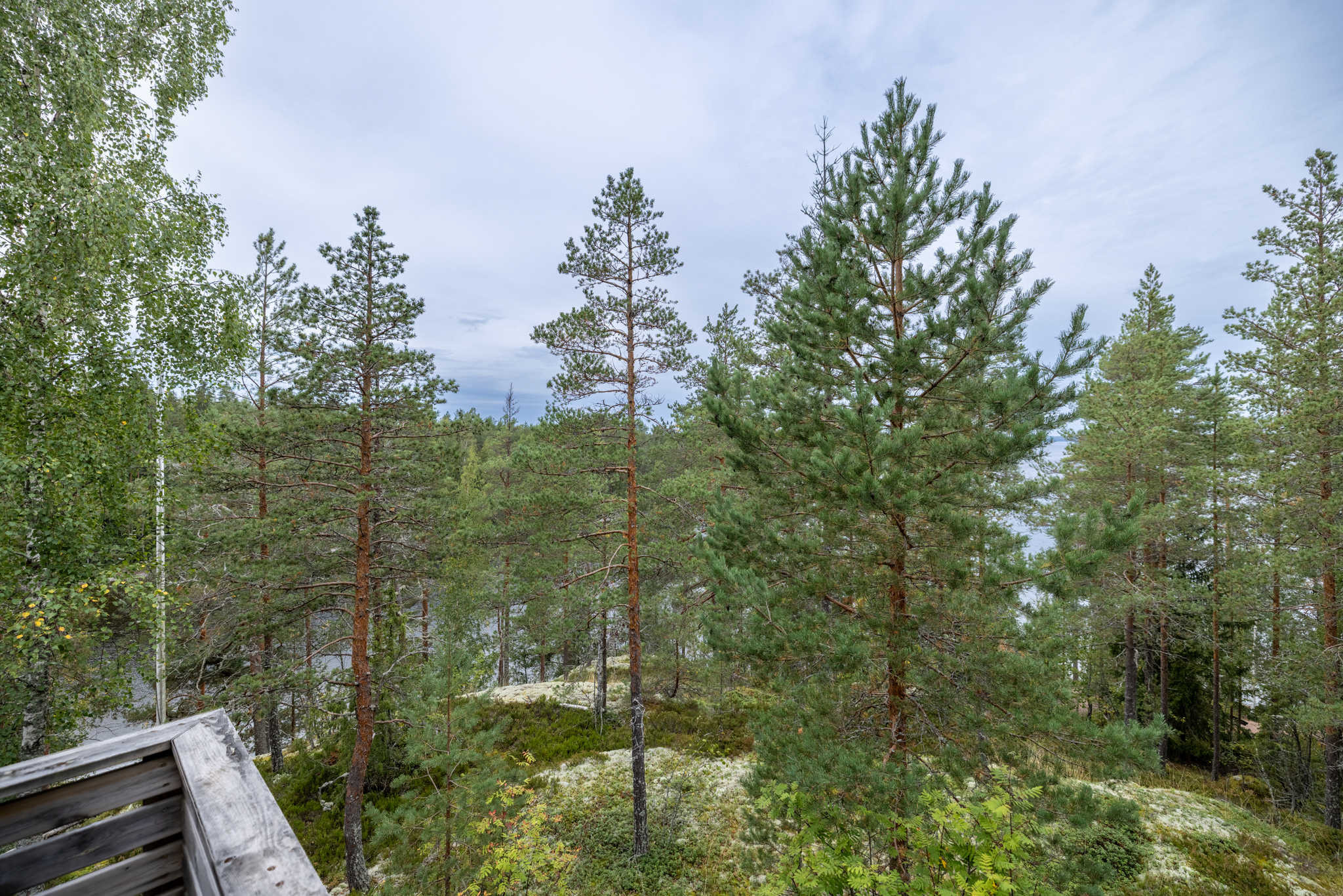 Näkymät parvekkeelta