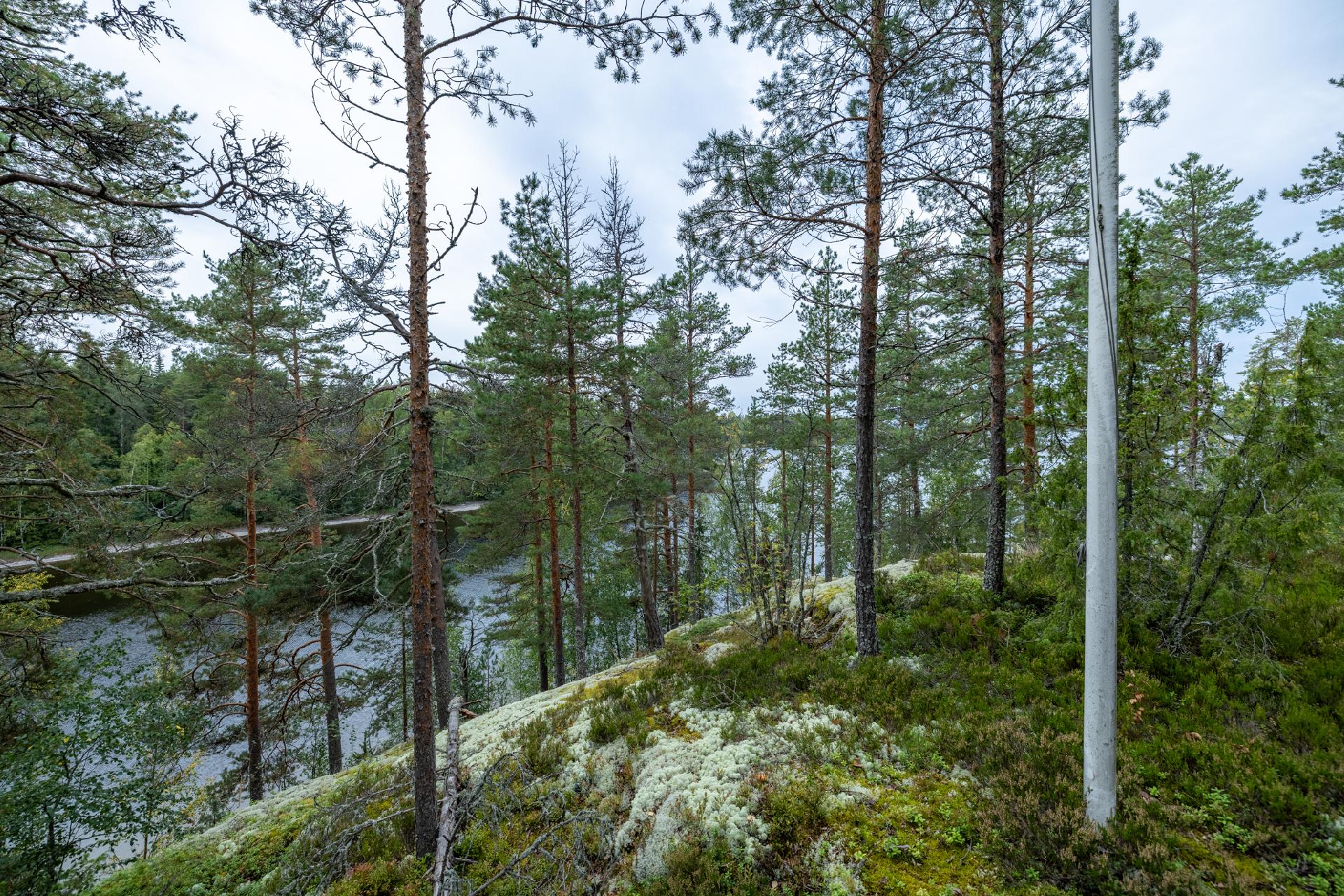 Aukionlahdentie 80, Liiansaari, Mikkeli
