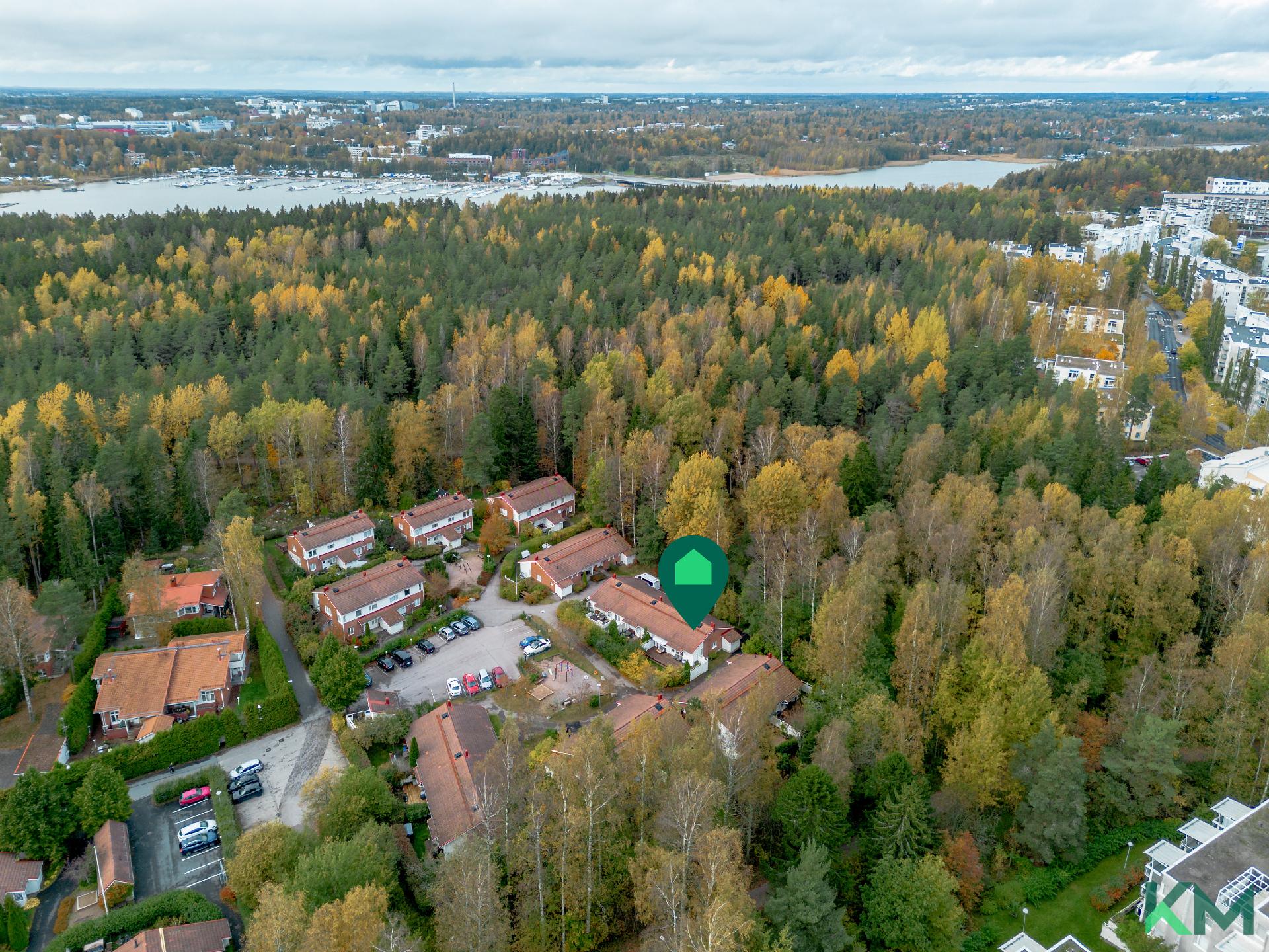 Metsäpoluilta löydät merelliset Vartiokylänlahden maisemat