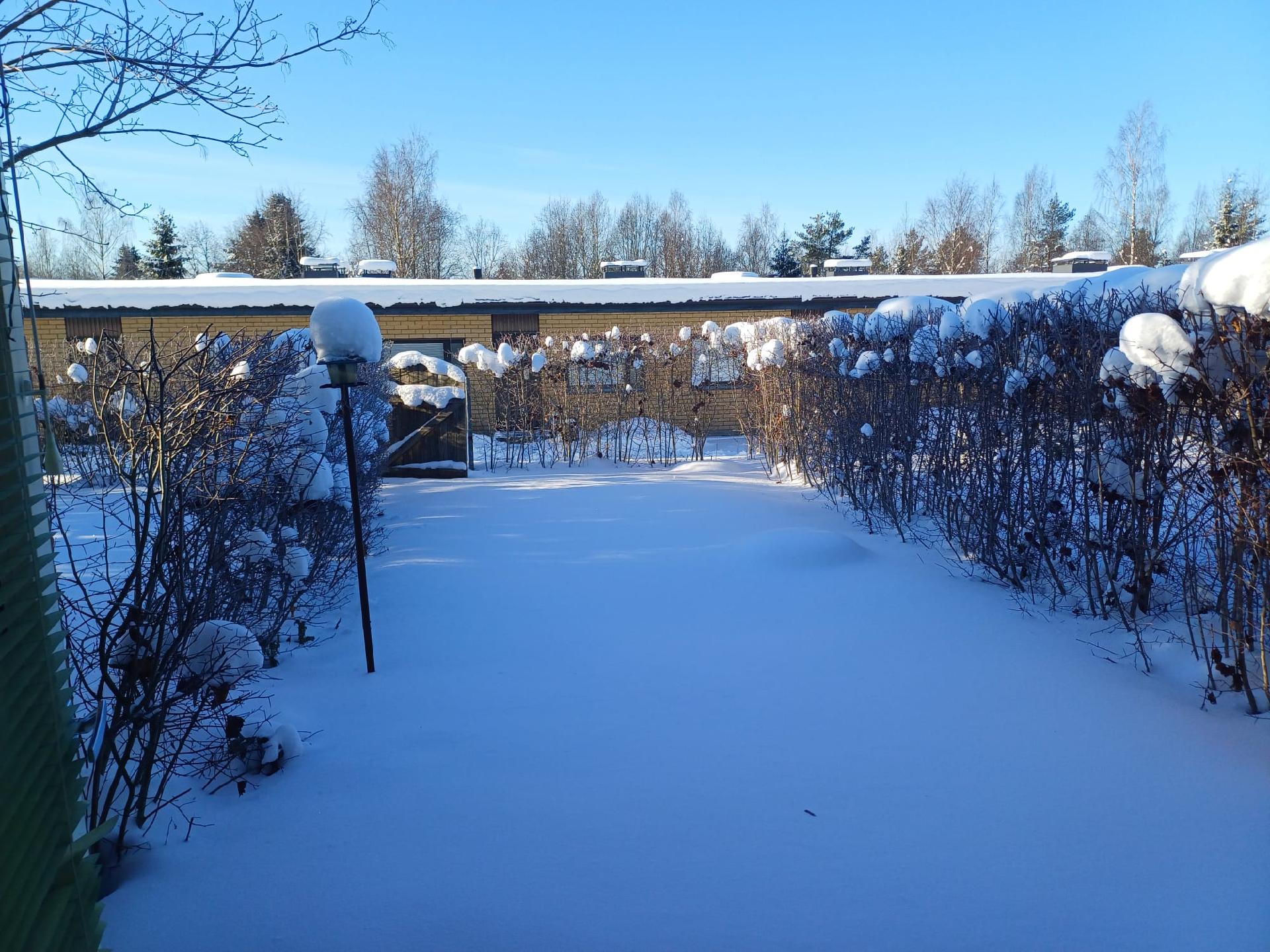 Pieksämäentie 38, Joroinen, Joroinen