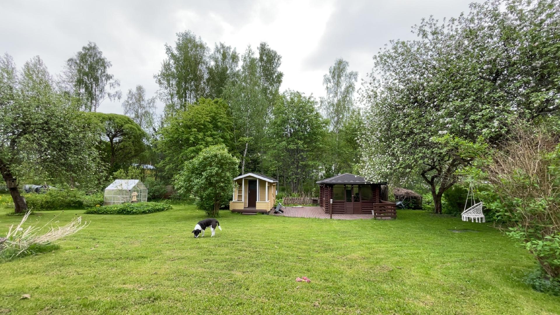 Kesäkuva