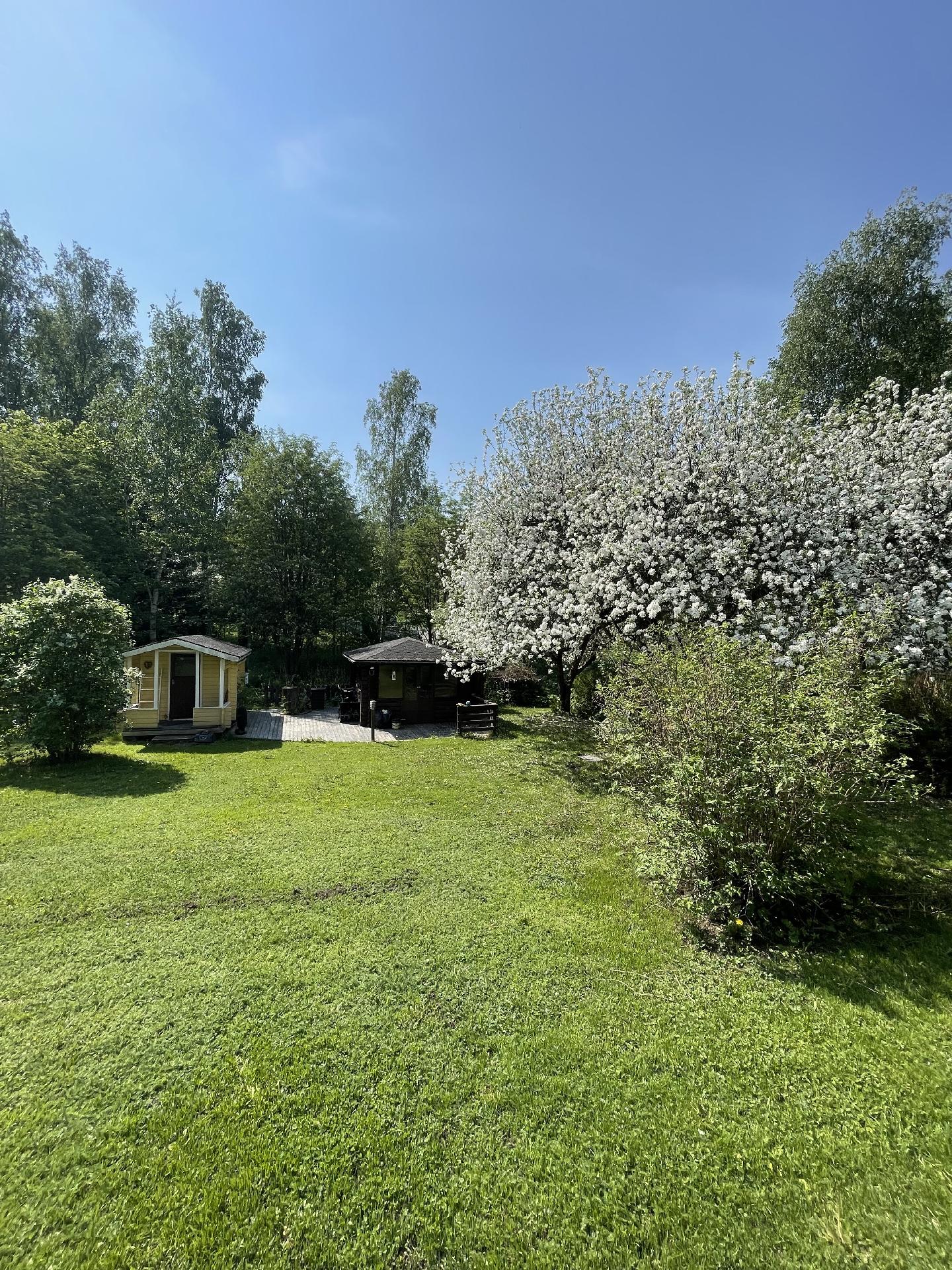 Kesäkuva