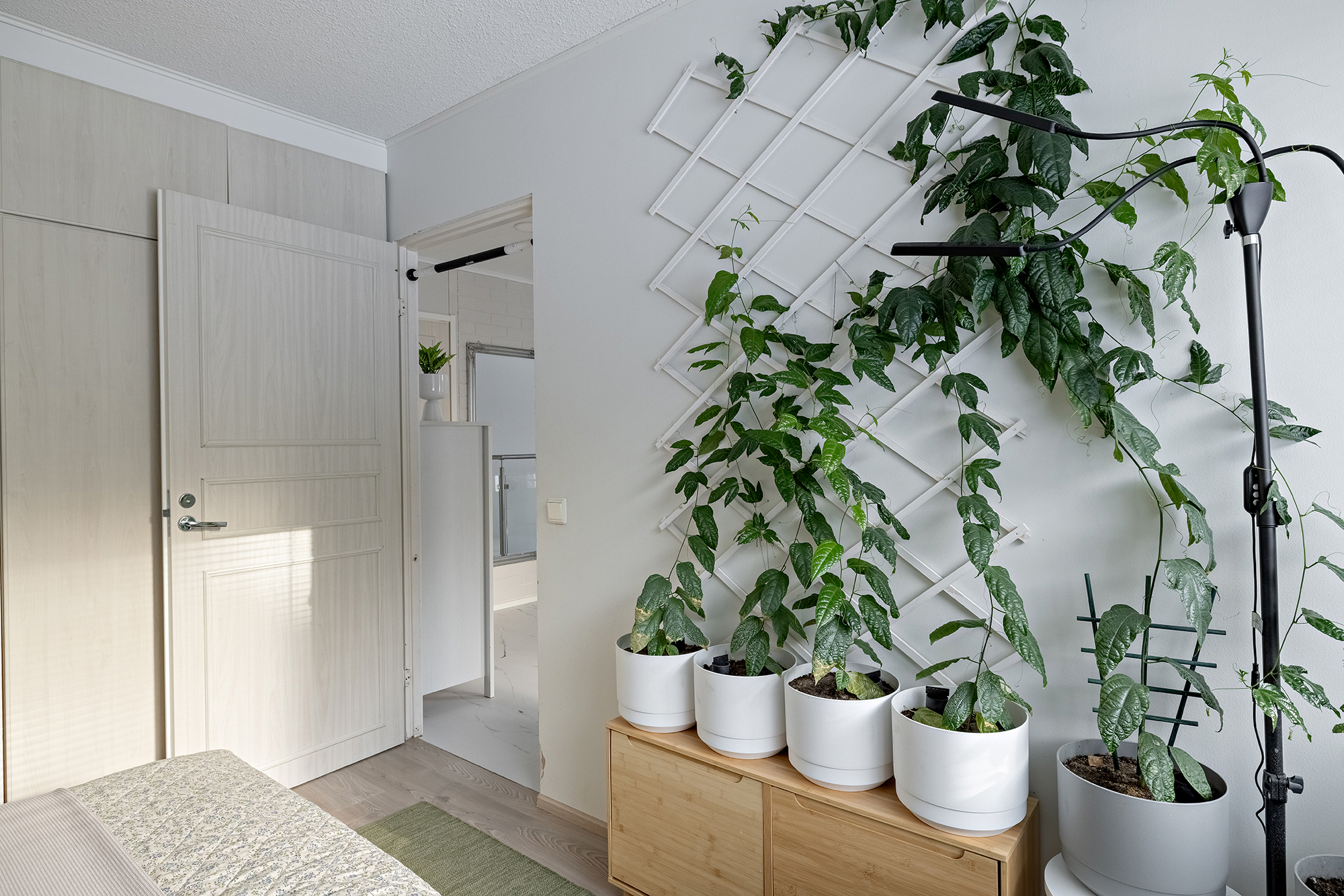 Nissupää 12, Varjakka, Oulu