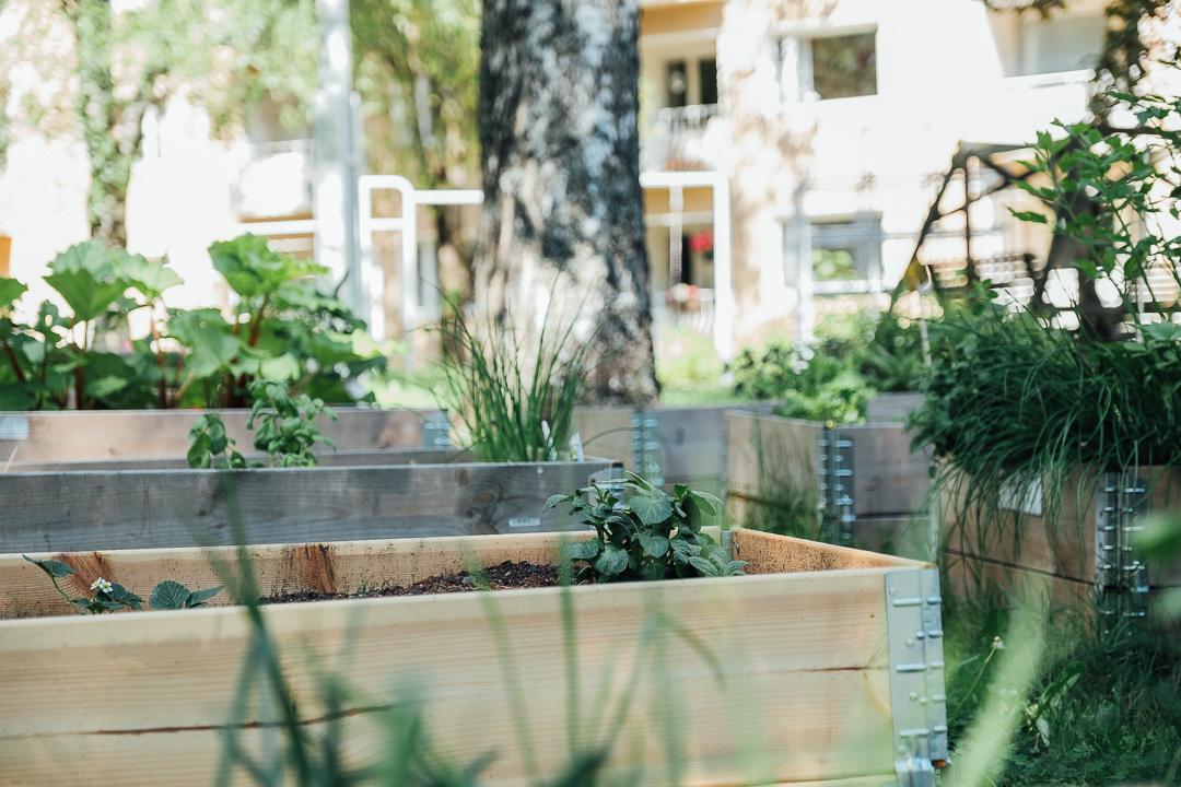 Koskelantie 25, Käpylä, Helsinki