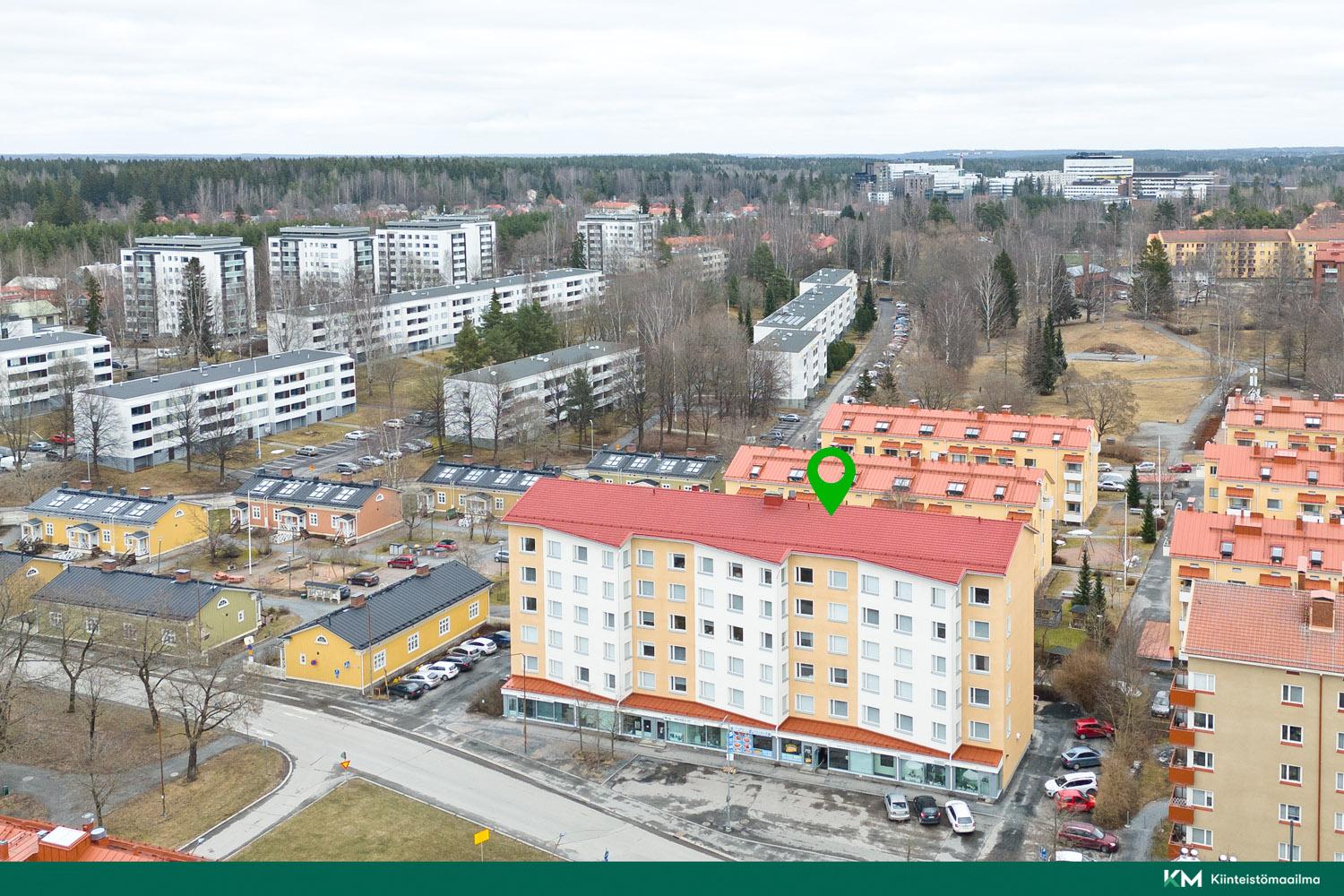 Kalevan puistotie 11, Tammela, Tampere