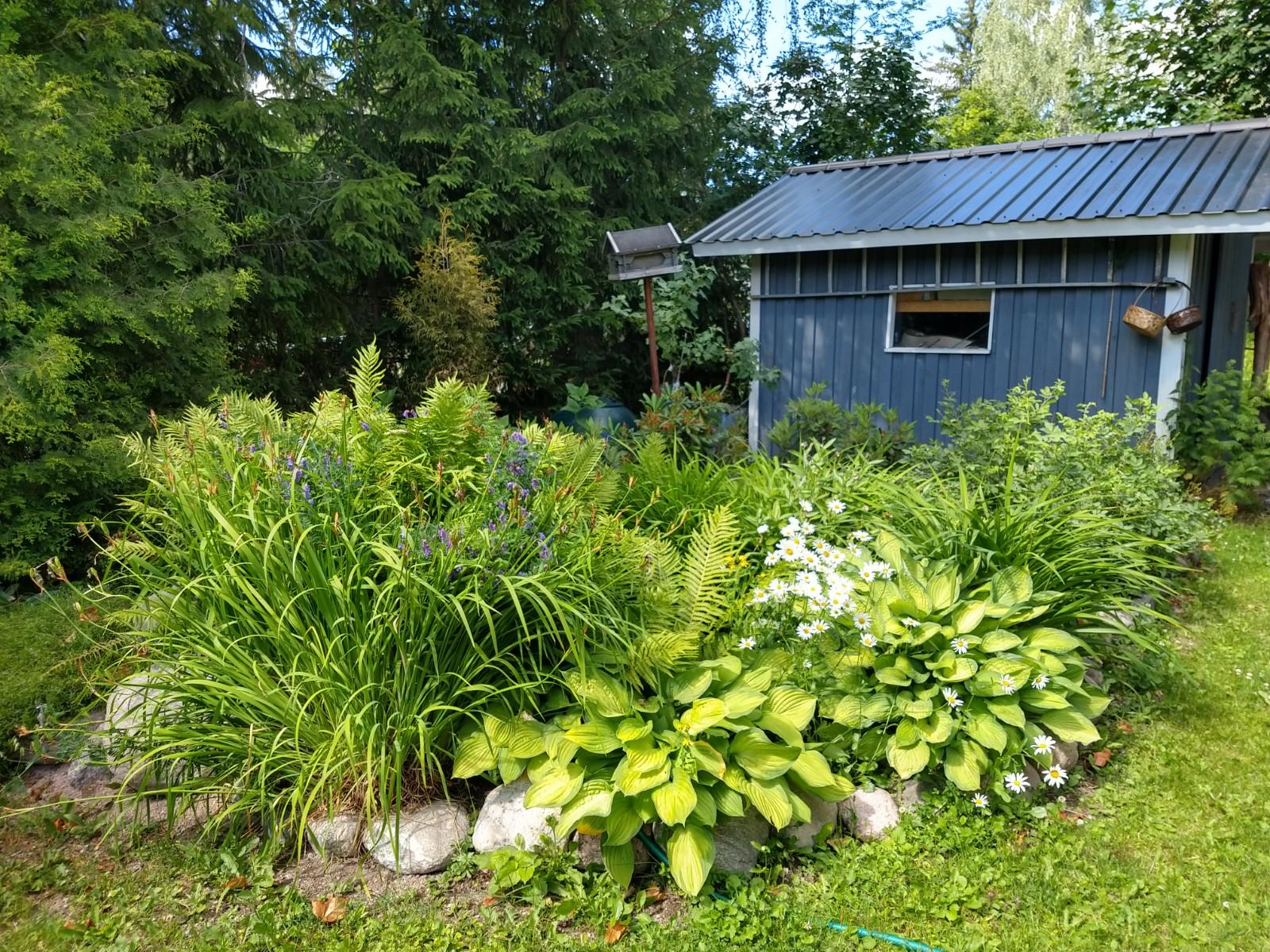 Koivistonrinne 6, Koivistonmäki, Riihimäki