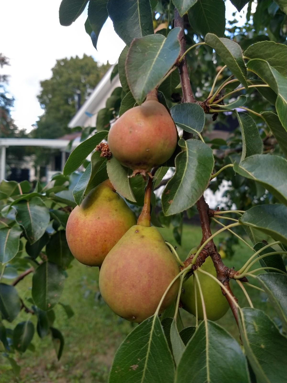 Koivistonrinne 6, Koivistonmäki, Riihimäki