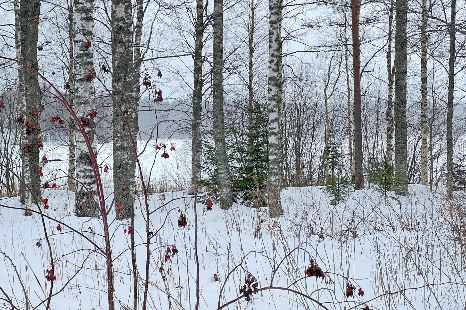 Keihäskoskentie 129, Syvänniemi, Kuopio