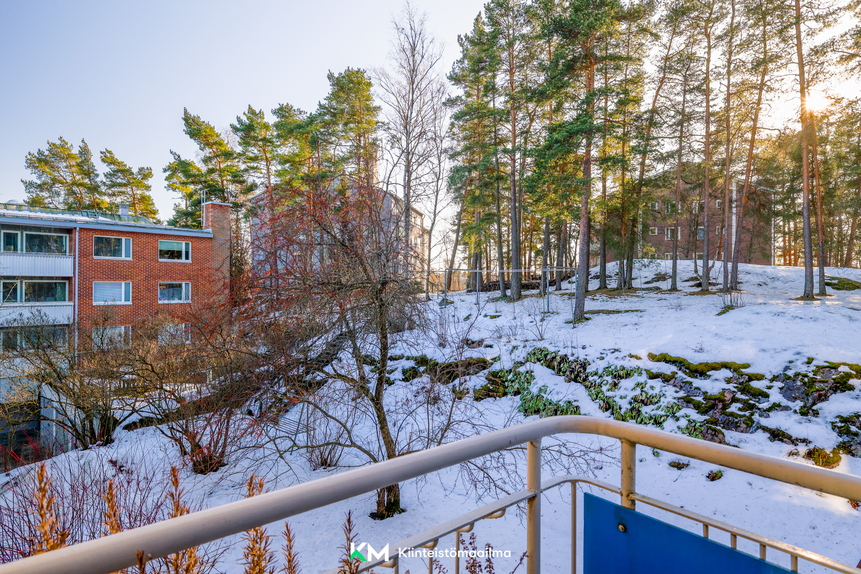 Kirsikkapuun kukintaa odotellessa.