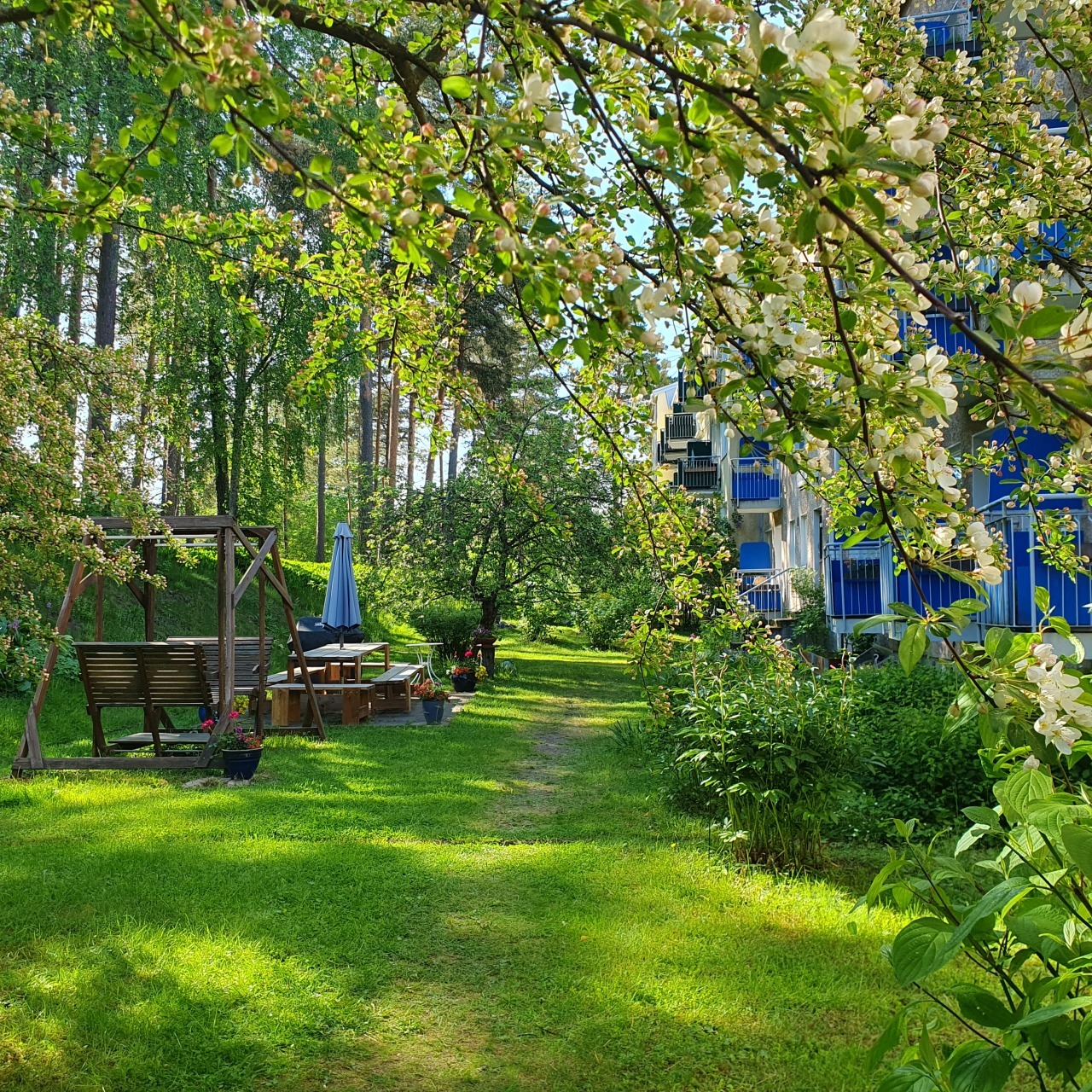 Kesä ja keinu sekä pöytäryhmä