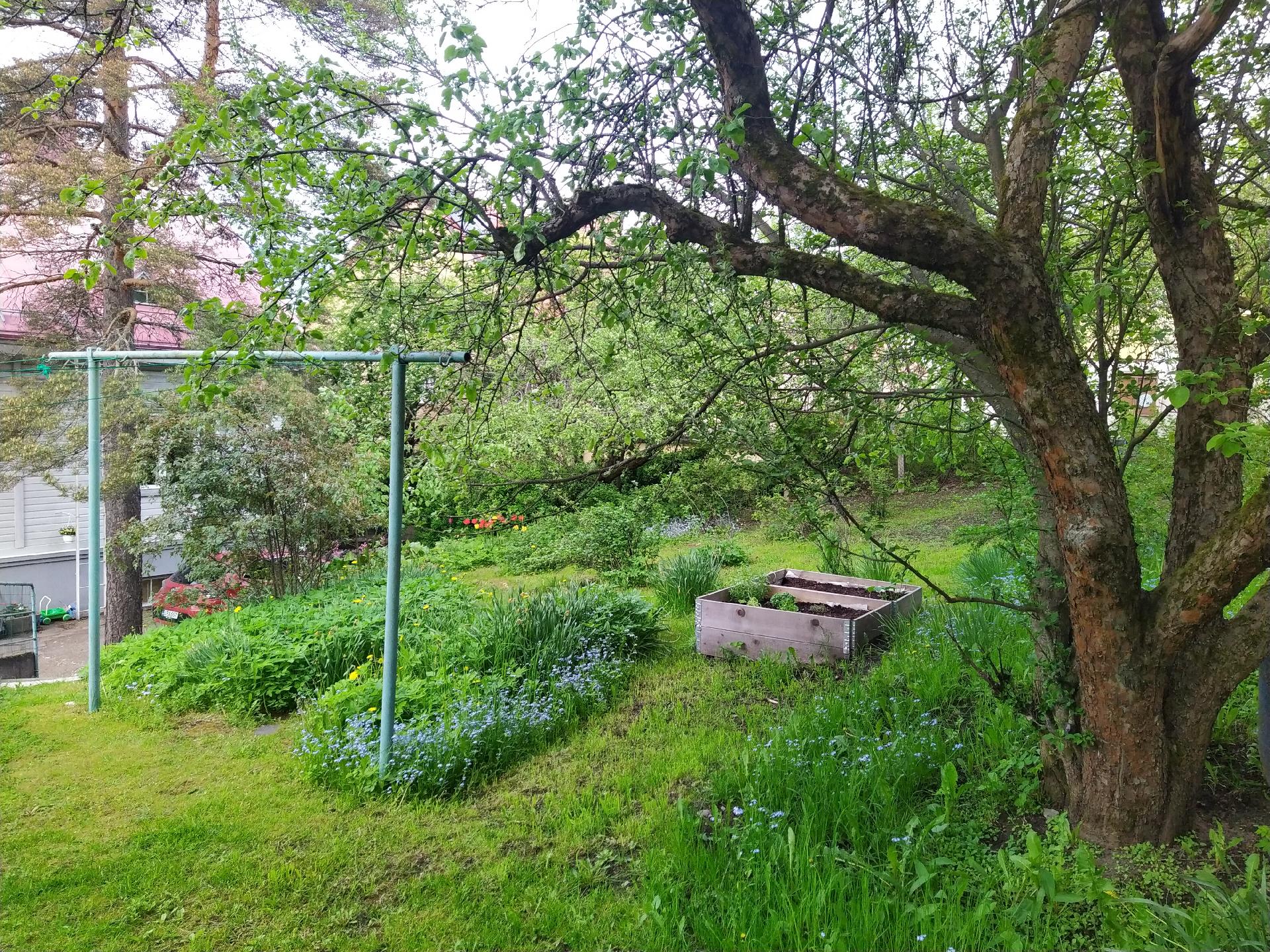 Harjukatu 13, Keskusta, Lahti