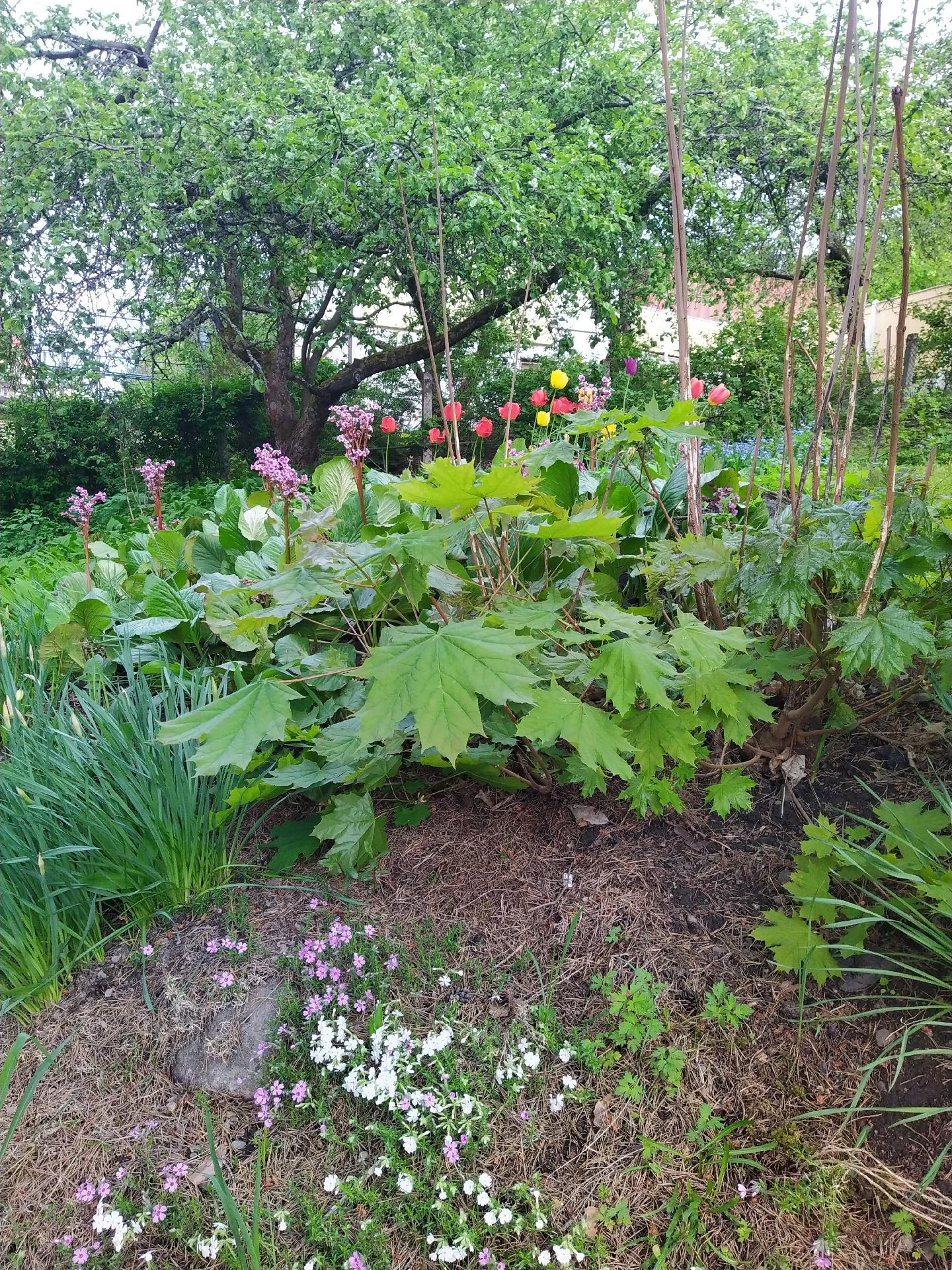 Harjukatu 13, Keskusta, Lahti