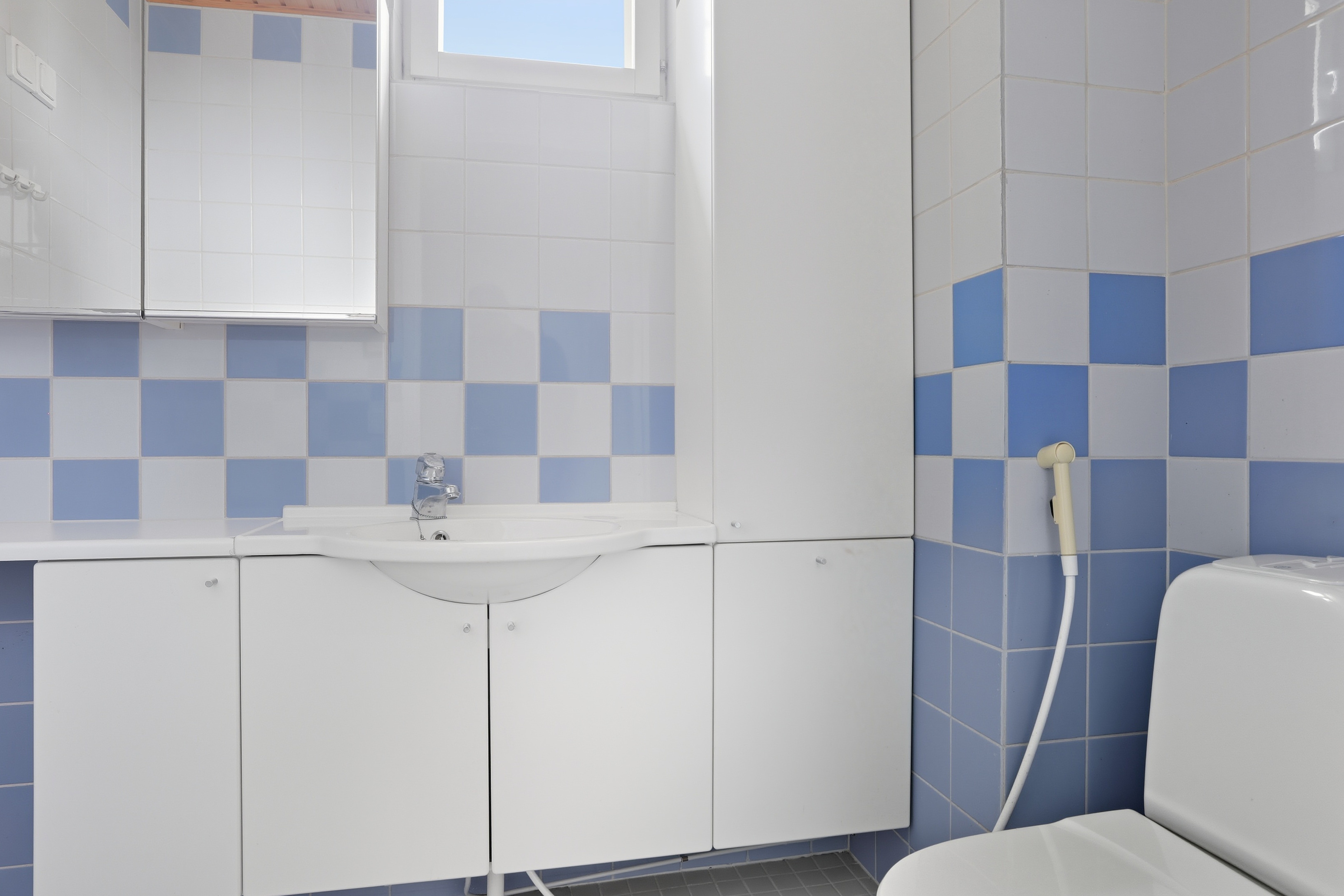Erillinen wc