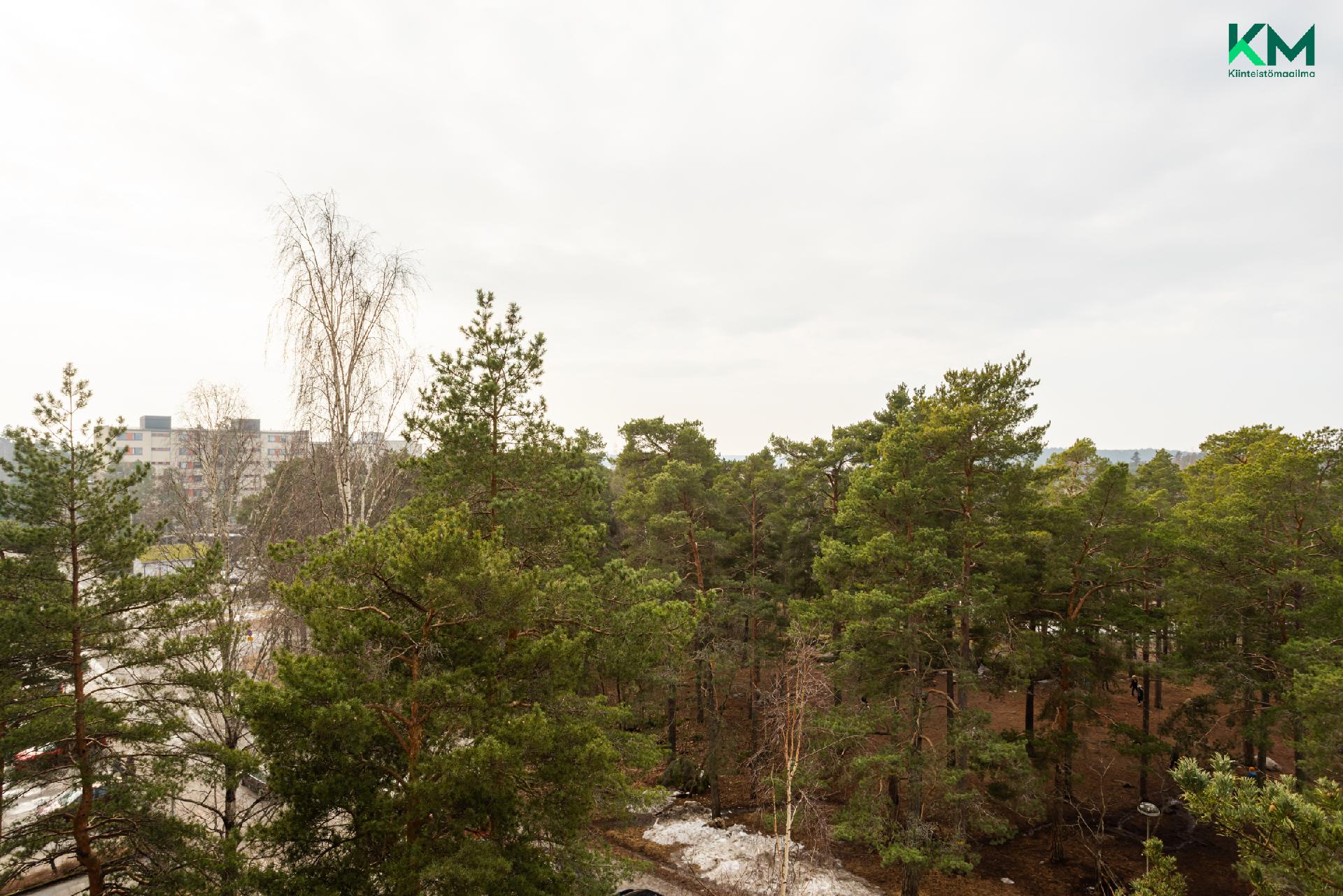 Jalustinkatu 7, Uittamo, Turku