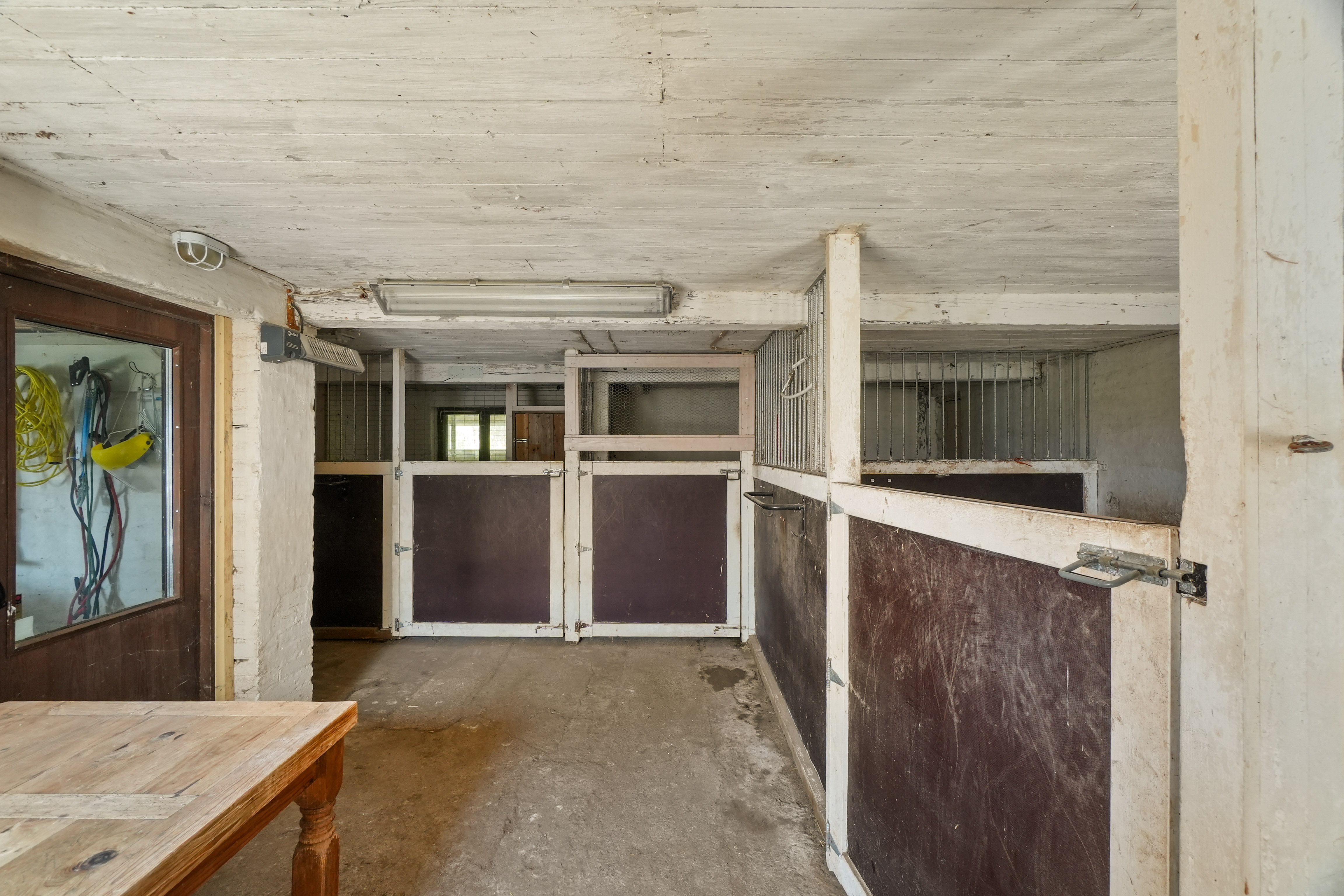 Pilttuut sopivat mm. ponien pitämiseen