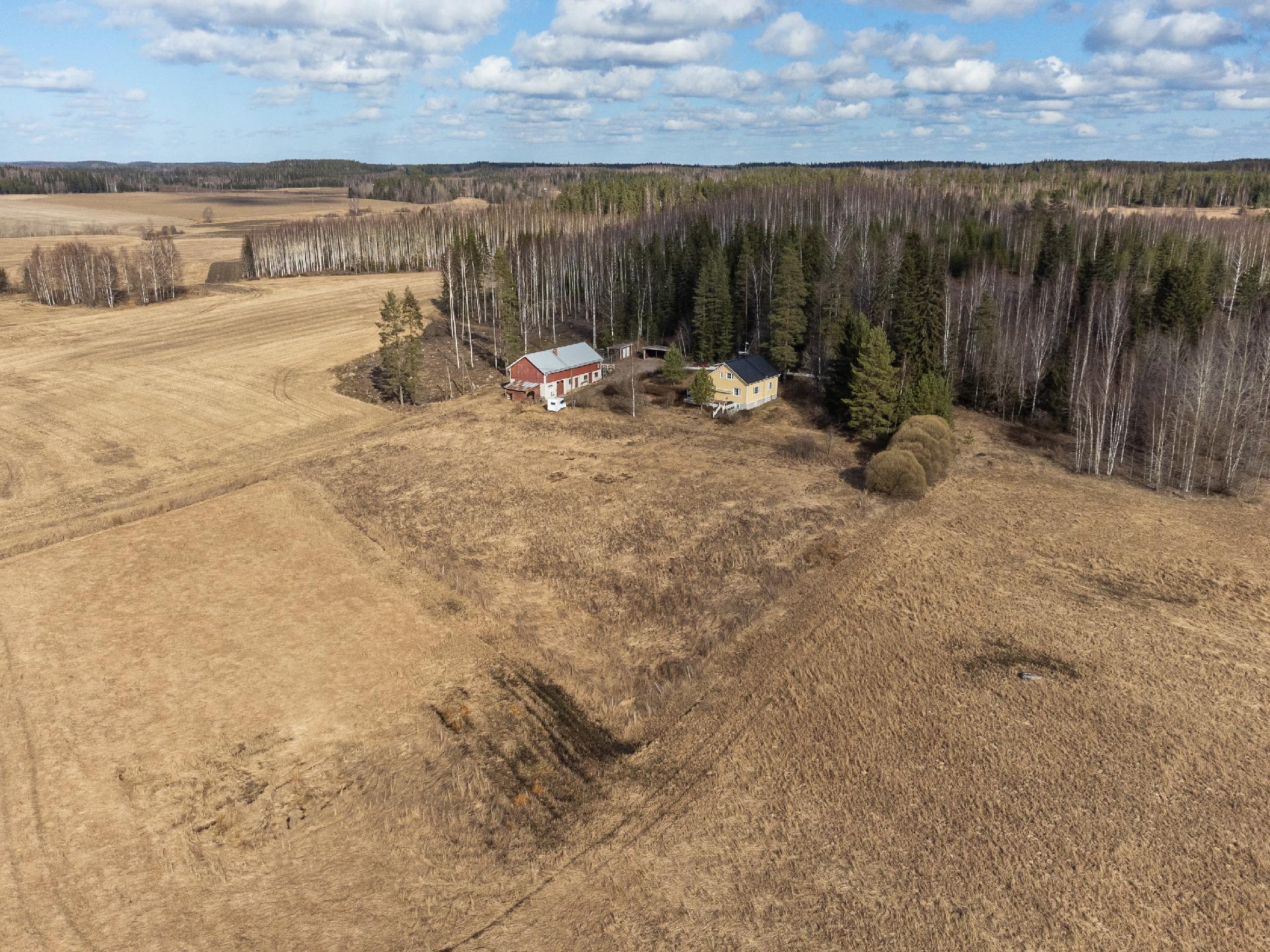 Katson maalaismaisemaa ja ymmärrän...