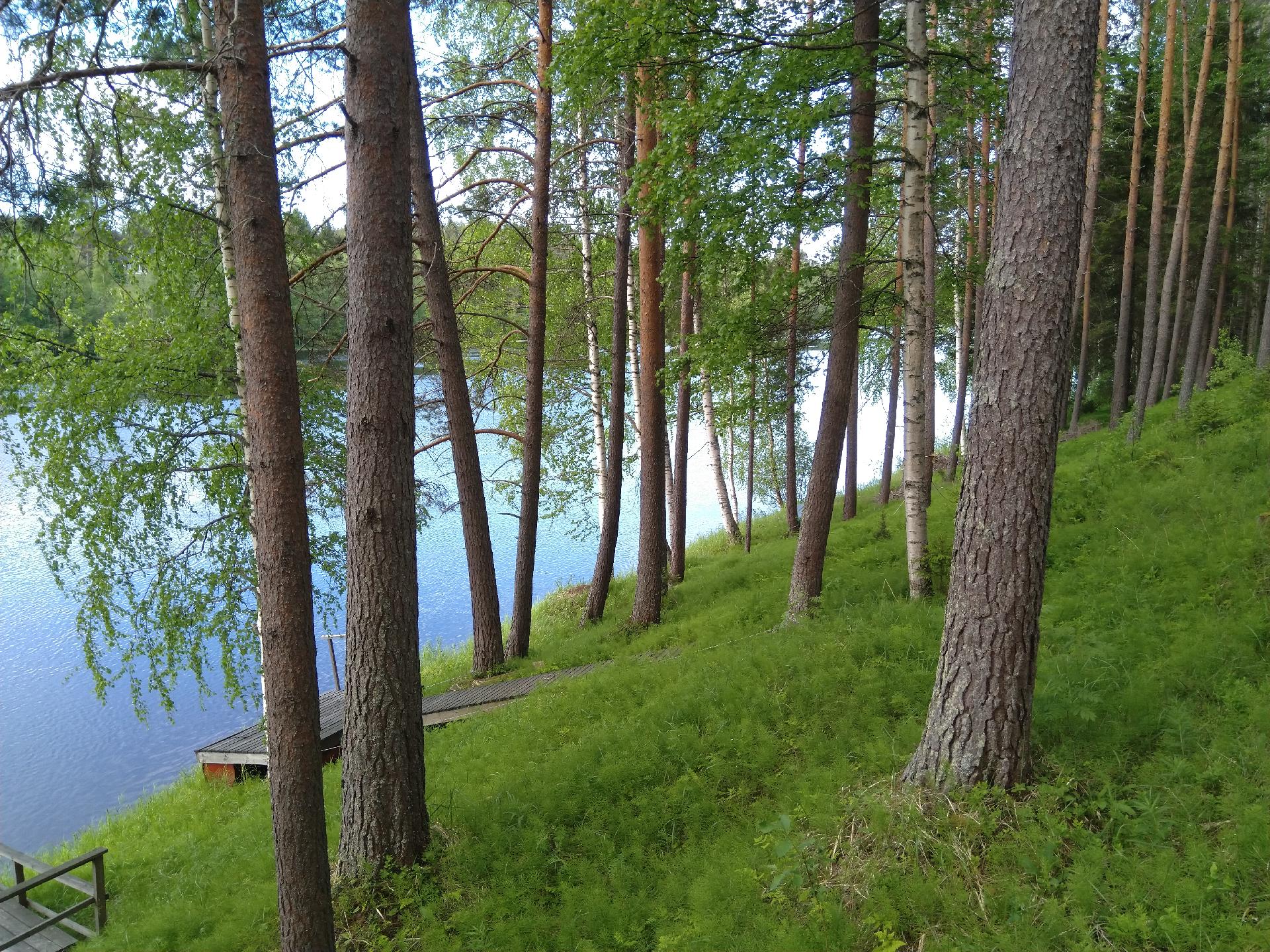 Kaunis luonnonmukainen tontti