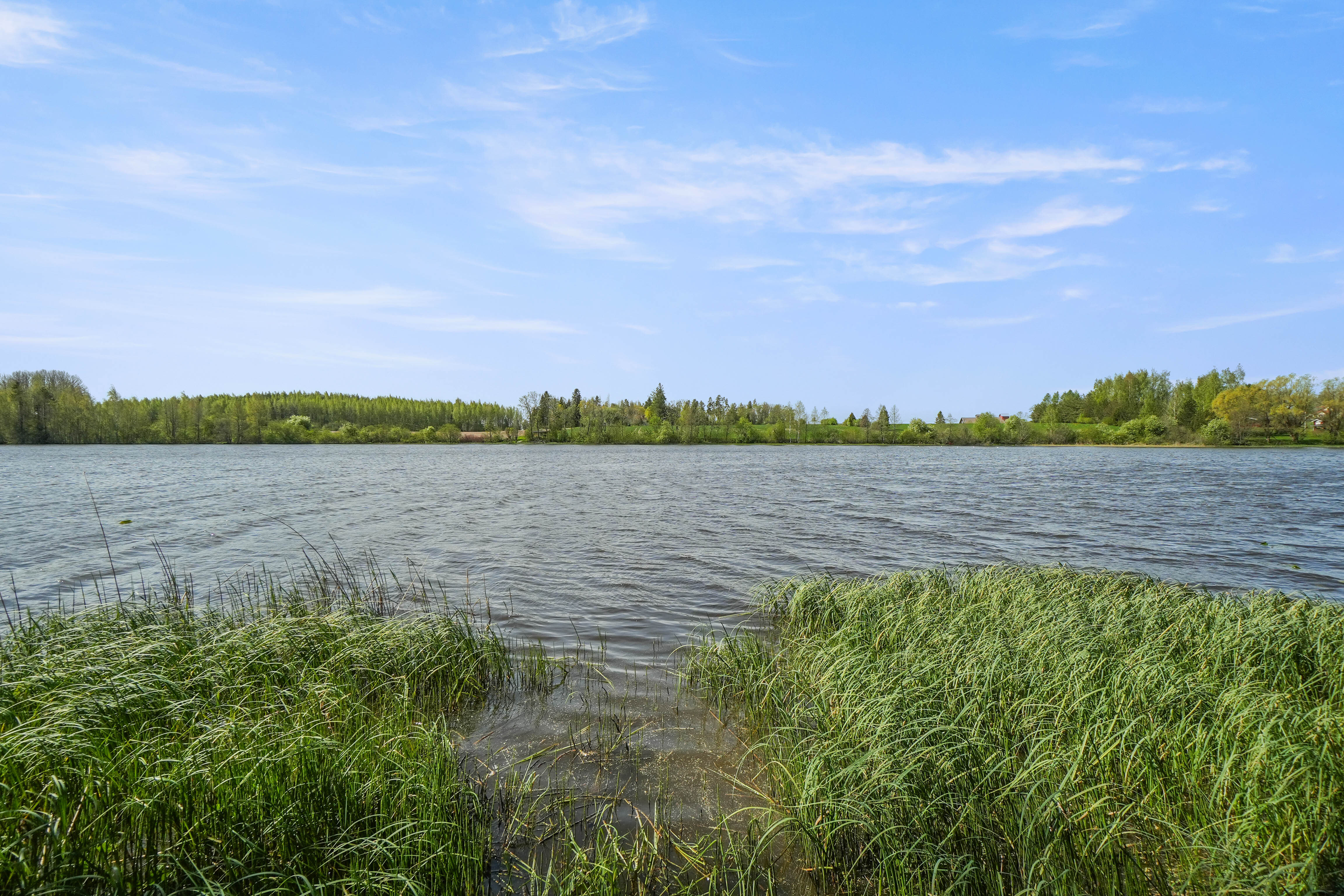 Rutajärveä