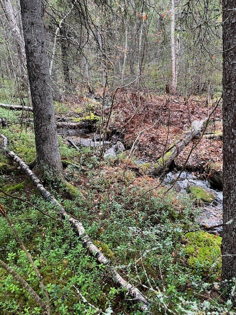 Mellalammentie 37, Rovaniemi