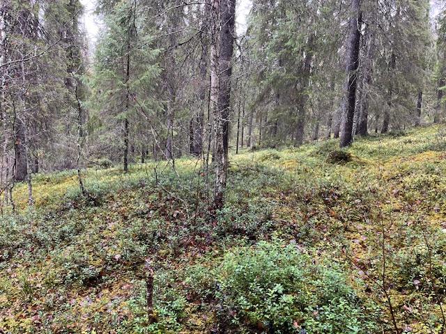 Mellalammentie 37, Rovaniemi