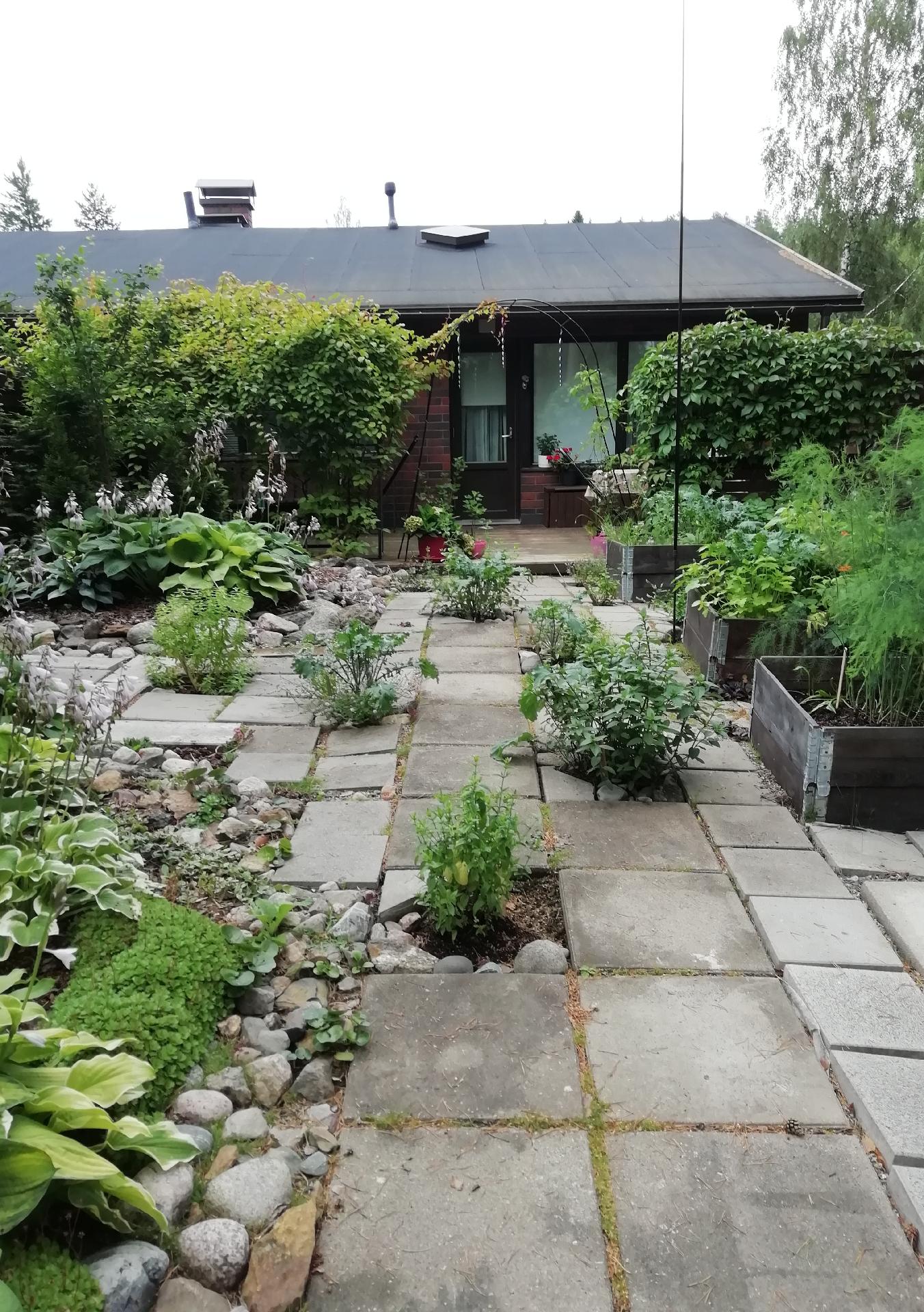 Itseotettuja kuvia kesältä.