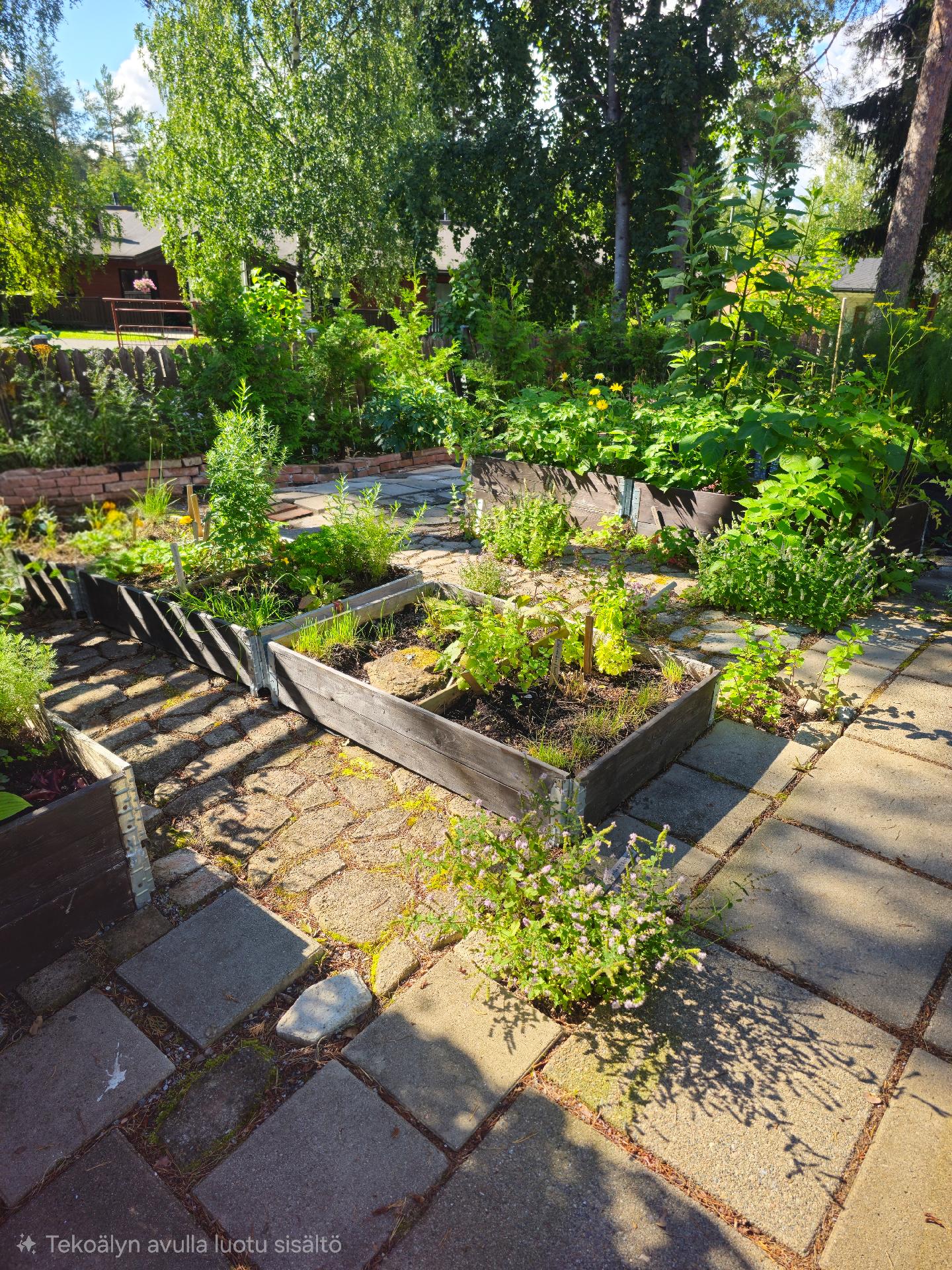 Itseotettuja kuvia kesältä.