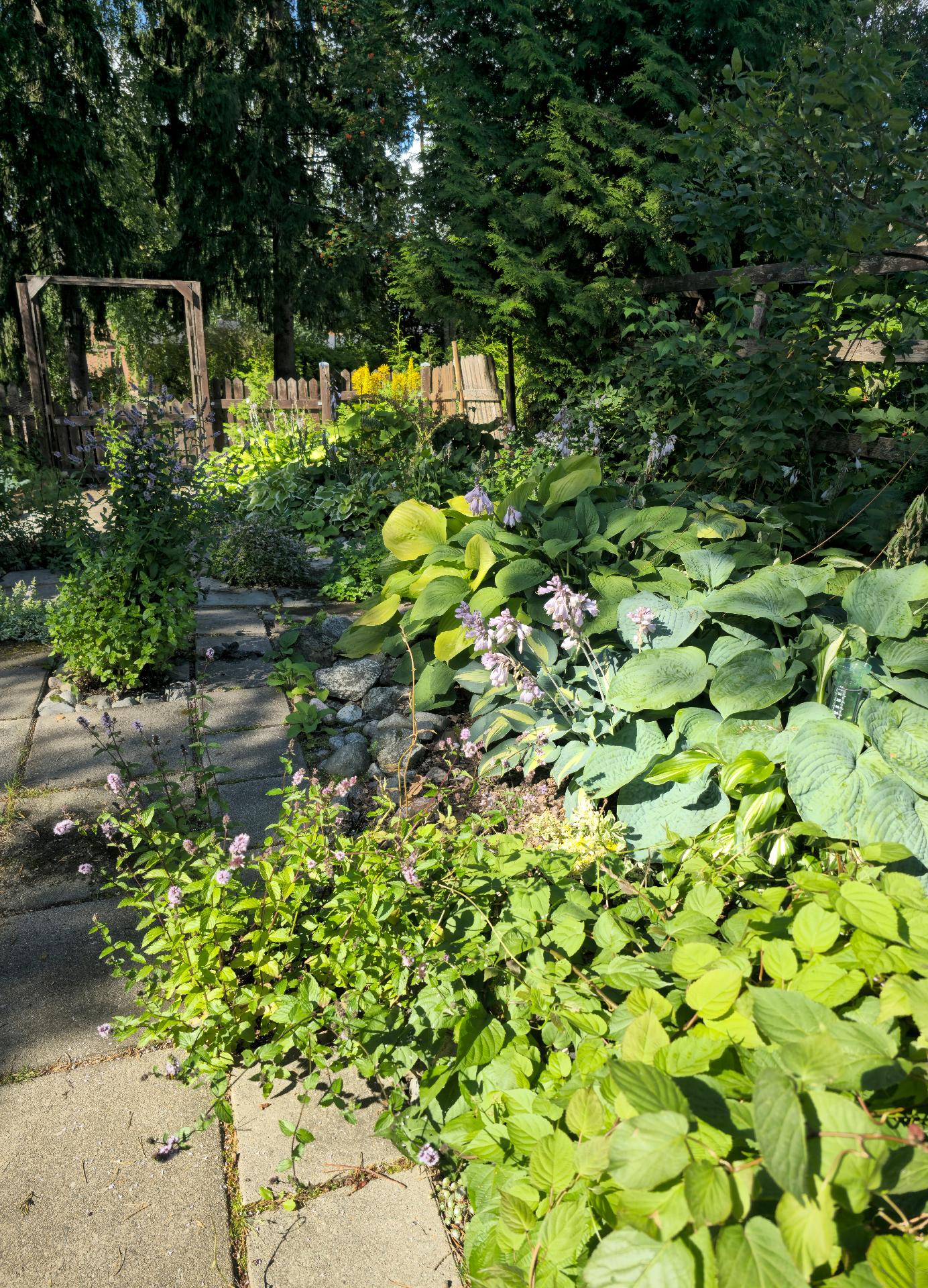 Itseotettuja kuvia kesältä.