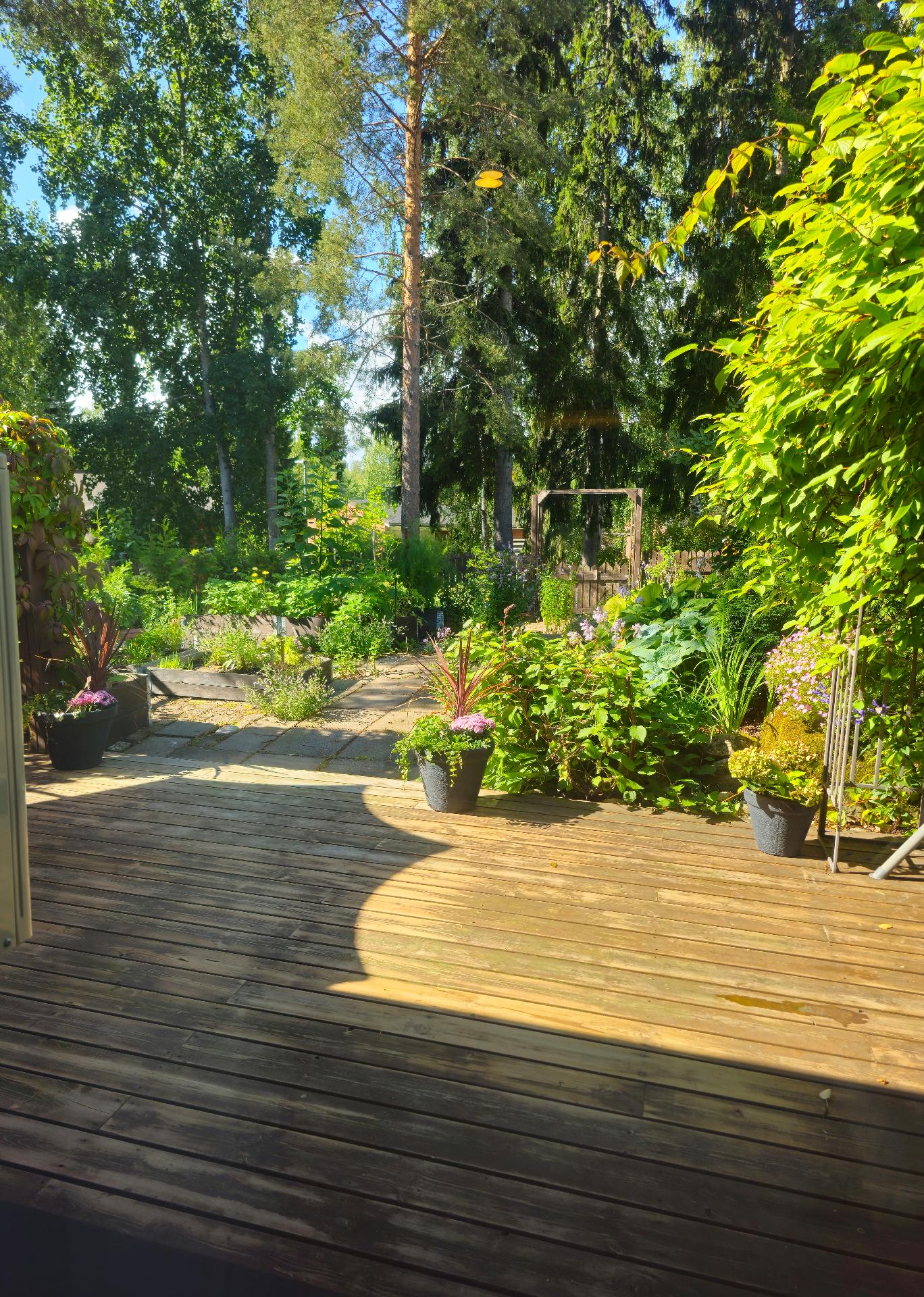 Itseotettuja kuvia kesältä.