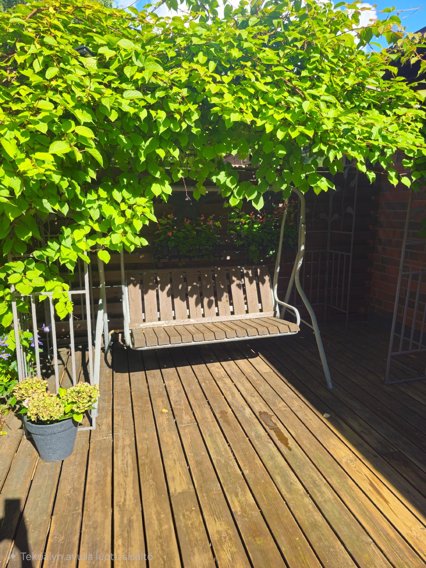 Itseotettuja kuvia kesältä.